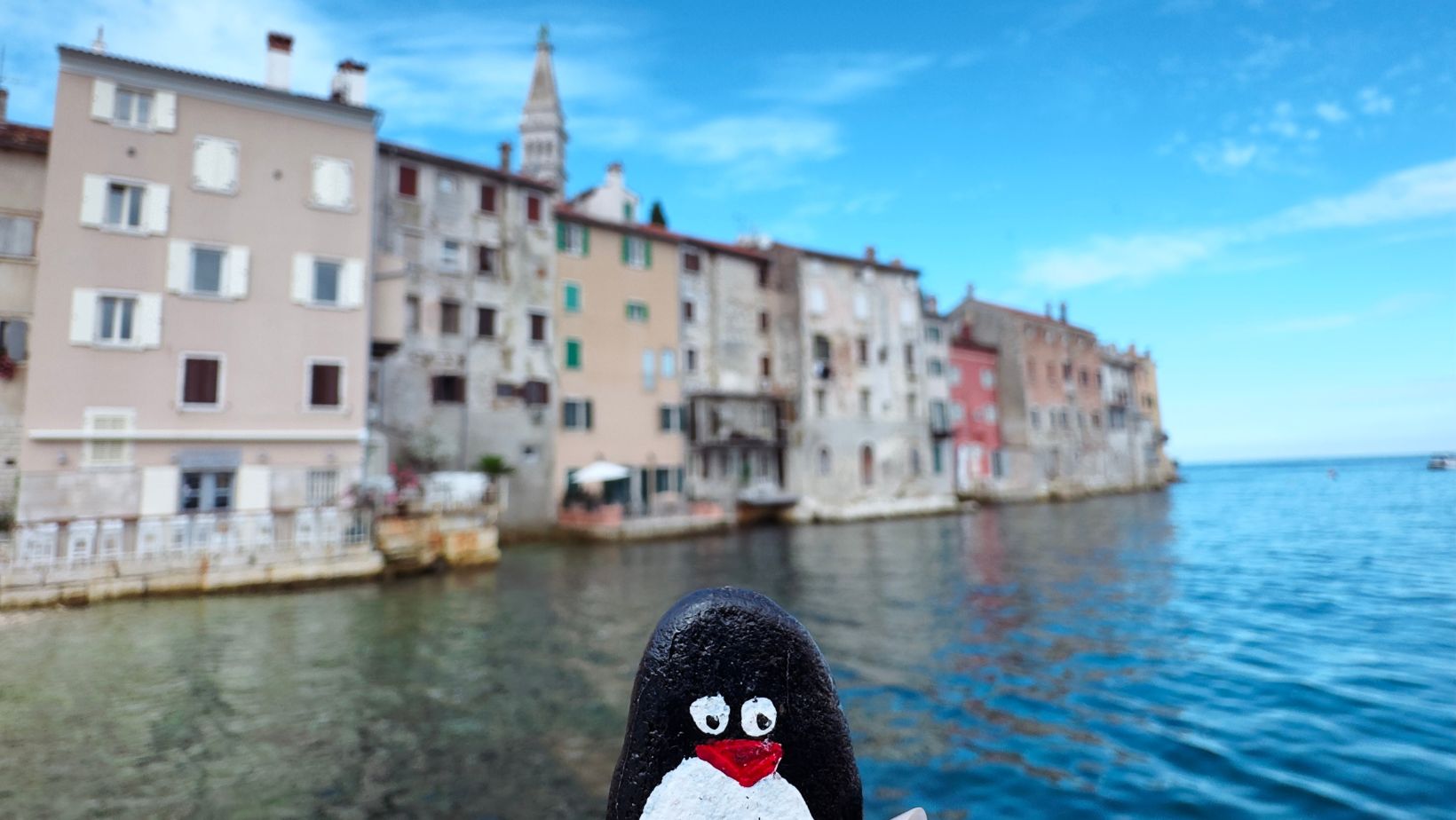Hand-painted penguin stone #127 hidden at Church of St. Euphemia, Rovinij, Croatia (photo 1 of 5)