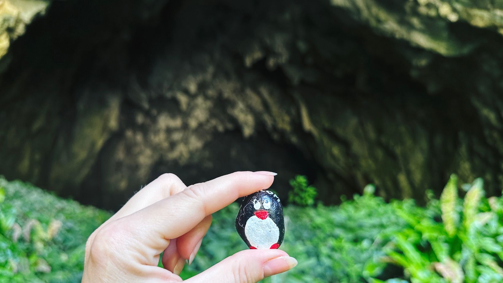 Hand-painted penguin stone #133 hidden at Skocjan Caves (outside), Skocjan Karst, Slovenia (photo 1 of 5)