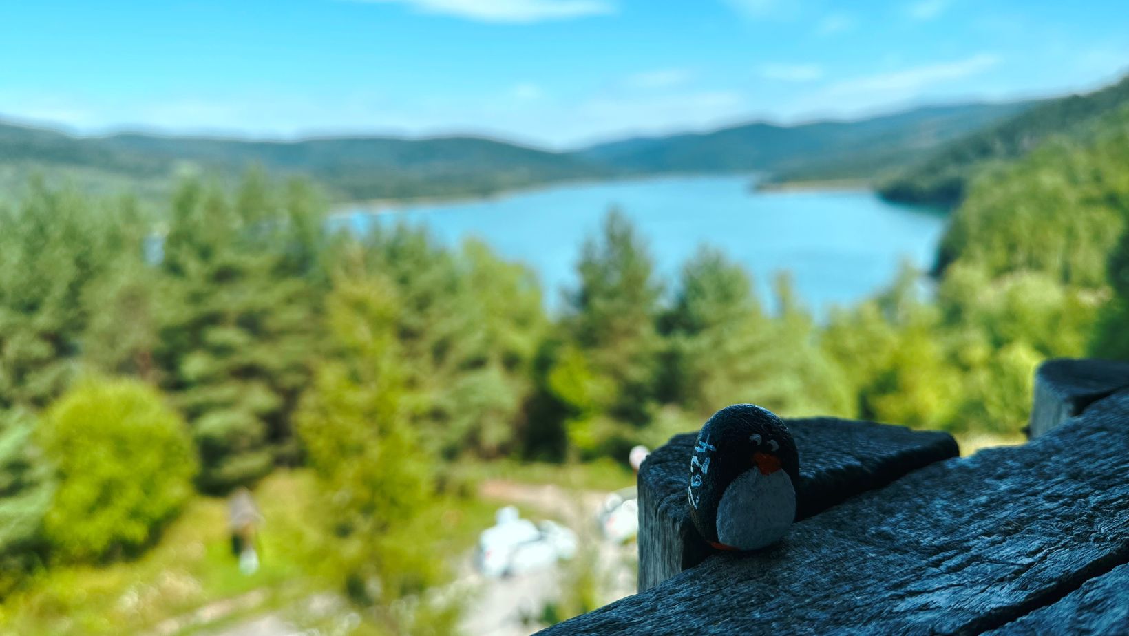 Hand-painted penguin stone #165 hidden at Starina Reservoir, Poloniny National Park, Slovakia (photo 1 of 5)