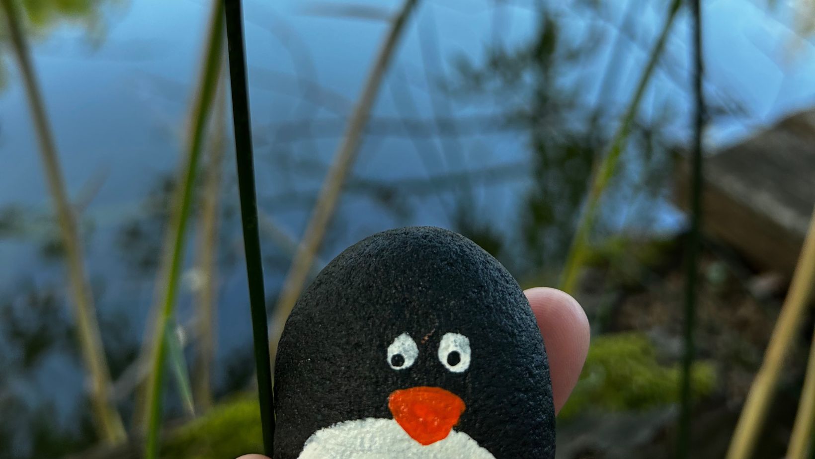Hand-painted penguin stone #286 hidden at Pest County, middle of nowhere, Hungary (photo 1 of 4)