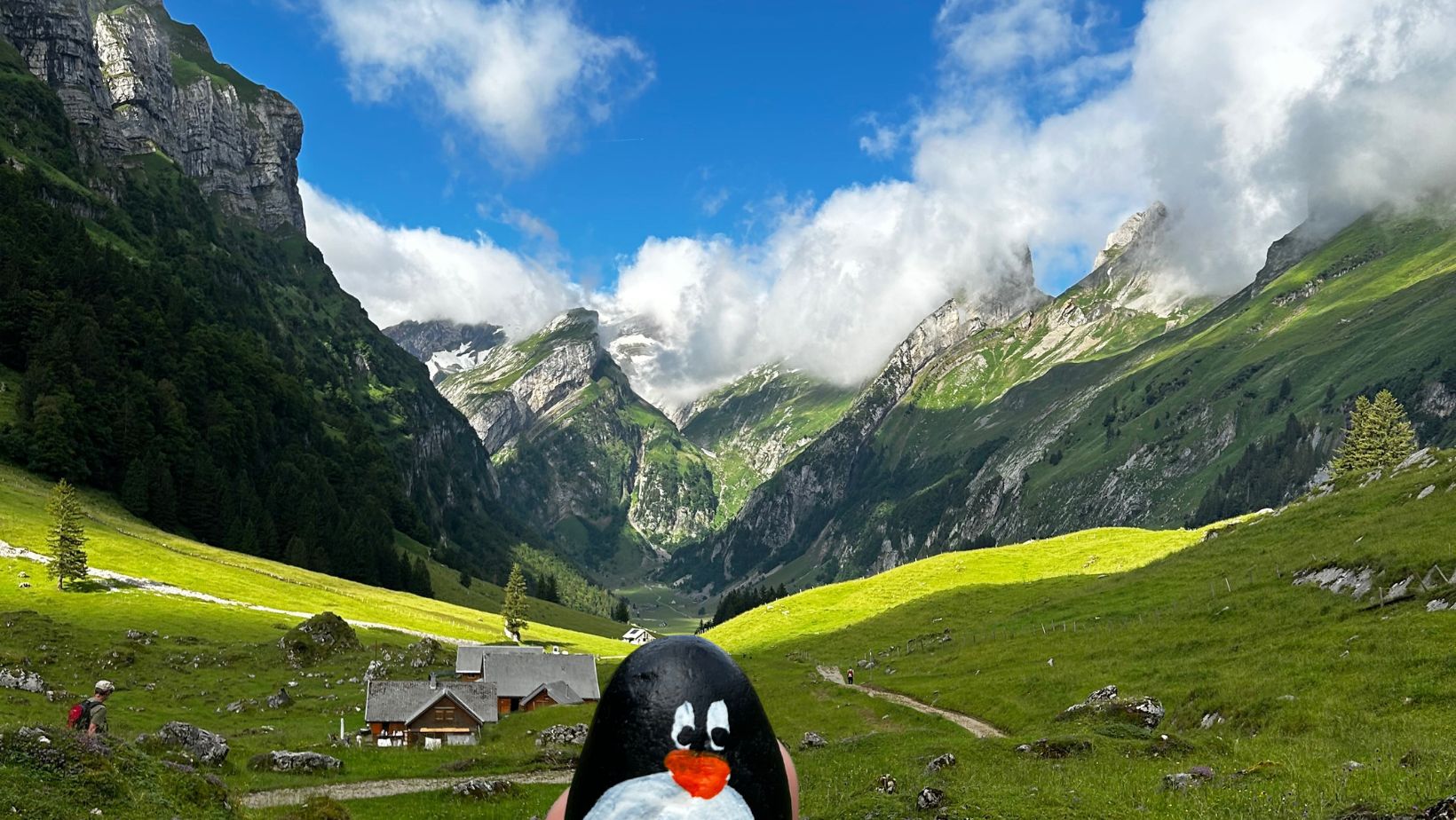 Hand-painted penguin stone #326 hidden at Alpkaserei Grosshutten, Switzerland (photo 1 of 5)