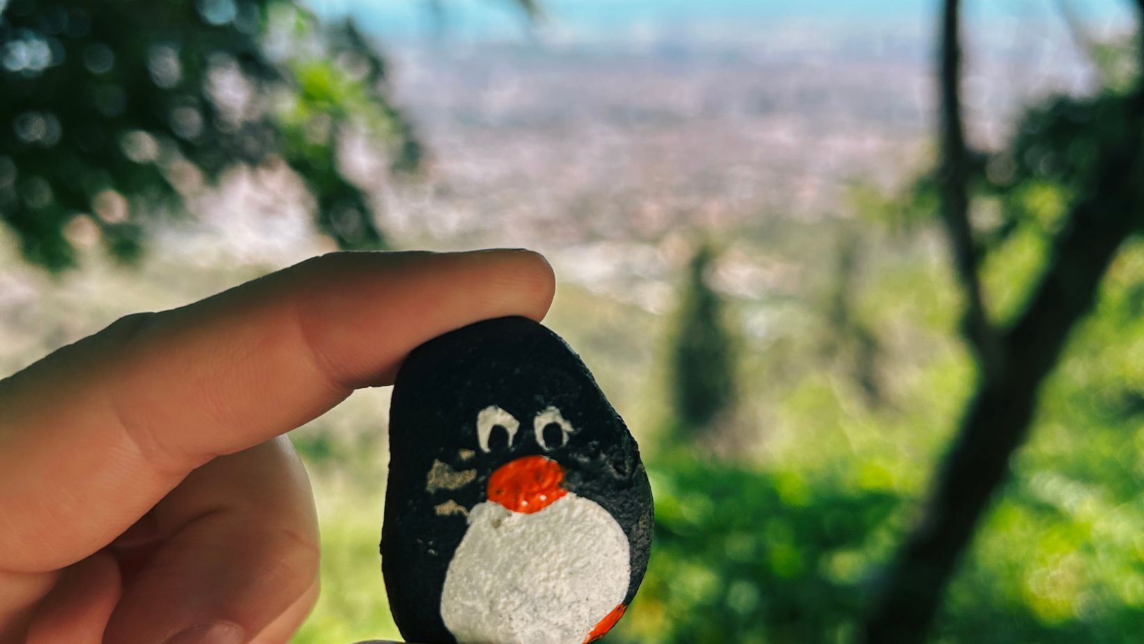 Hand-painted penguin stone #353 hidden at Sagenraintobel, Switzerland (photo 1 of 5)