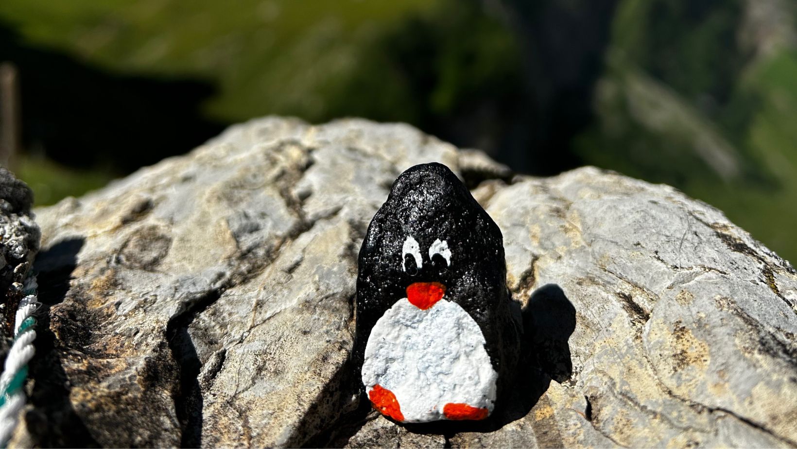 Hand-painted penguin stone #385 hidden at Appenzell Alps, Appenzell, Switzerland (photo 1 of 4)