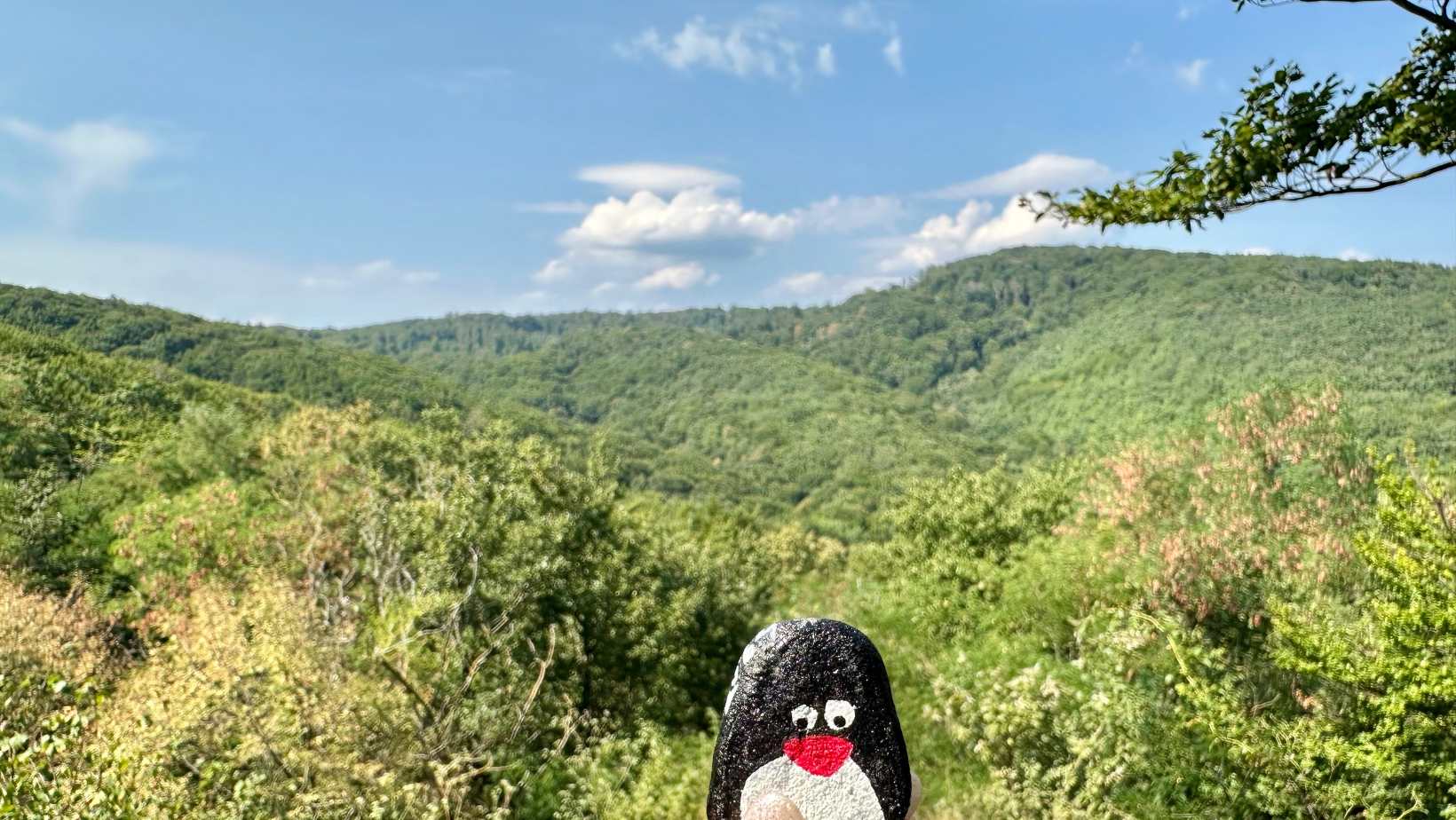 Hand-painted penguin stone #178 hidden at Mala Bana, Little Carpathians, Slovakia (photo 1 of 5)