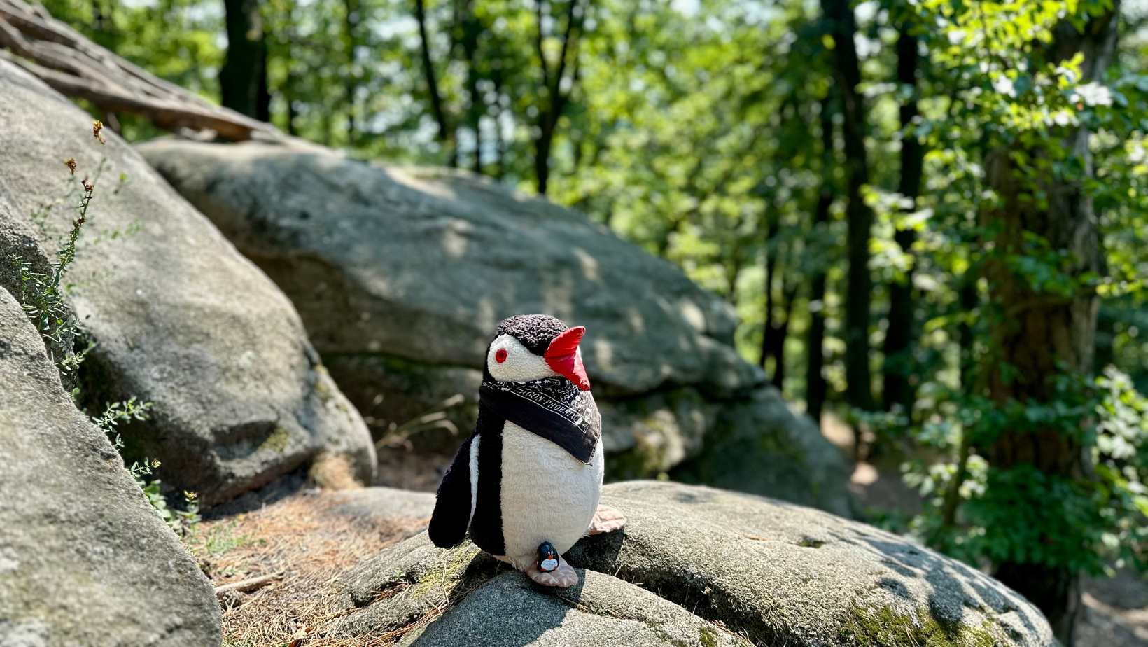 Hand-painted penguin stone #181 hidden at Stone Faces, Little Carpathians, Slovakia (photo 1 of 5)