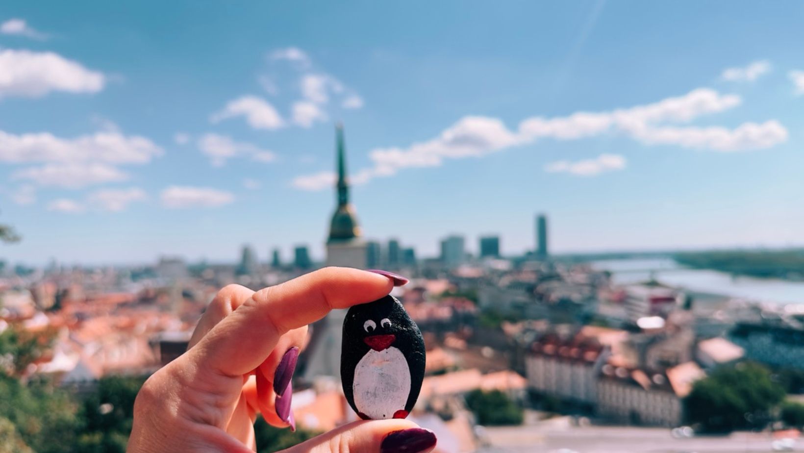 Hand-painted penguin stone #197 hidden at Bratislava Castle, Bratislava, Slovakia (photo 1 of 5)