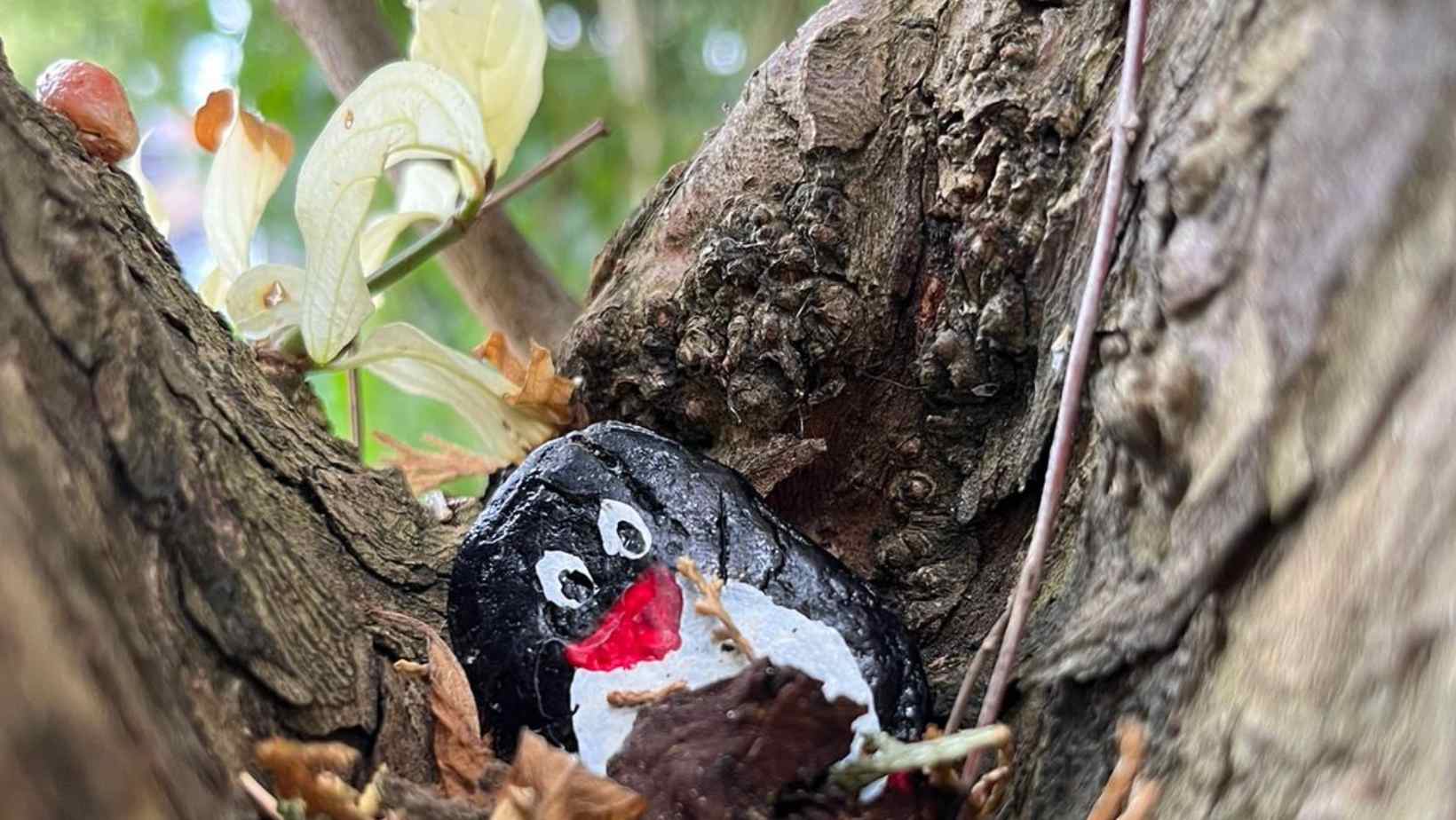 Hand-painted penguin stone #136 hidden at Newark Castle Gardens, Newark-on-Trent, United Kingdom (photo 1 of 5)