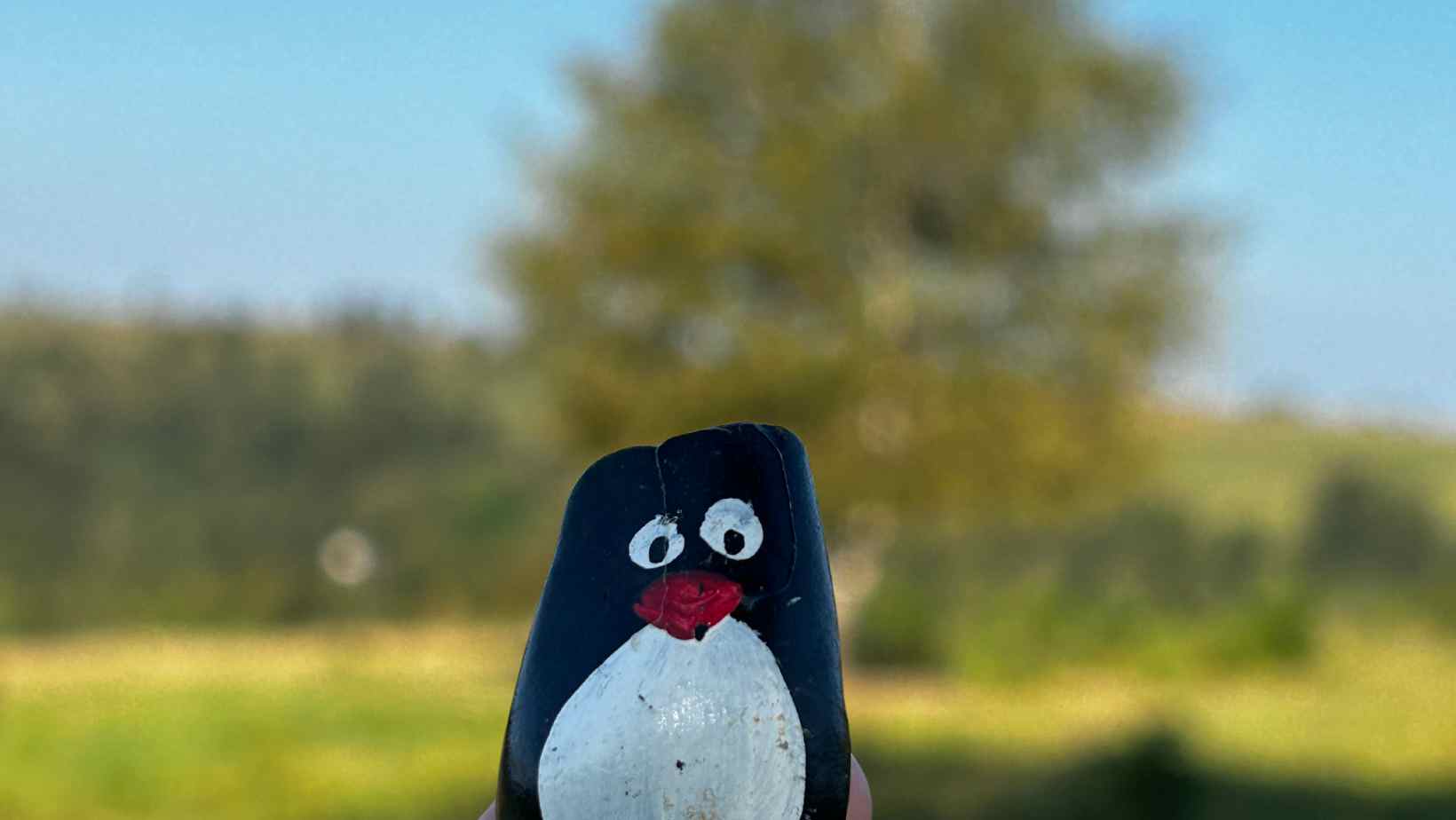 Hand-painted penguin stone #144 hidden at Potoczek, Jodlow, Poland (photo 1 of 5)
