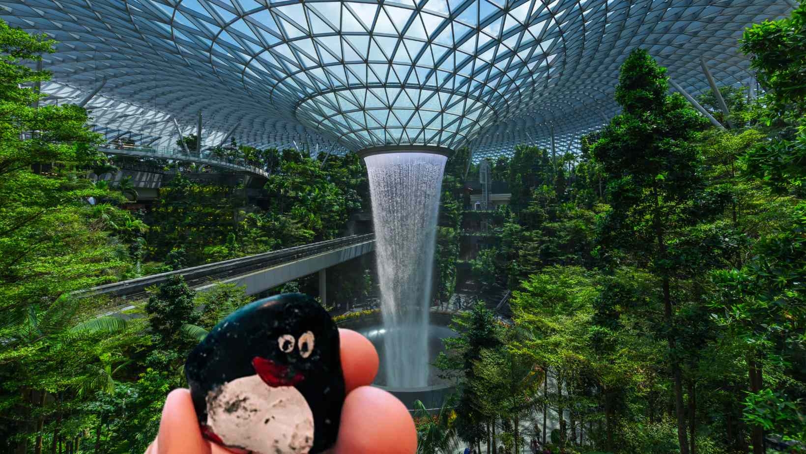 Hand-painted penguin stone #168 hidden at Jewel Changi Airport, Level L1, Singapore (photo 1 of 5)