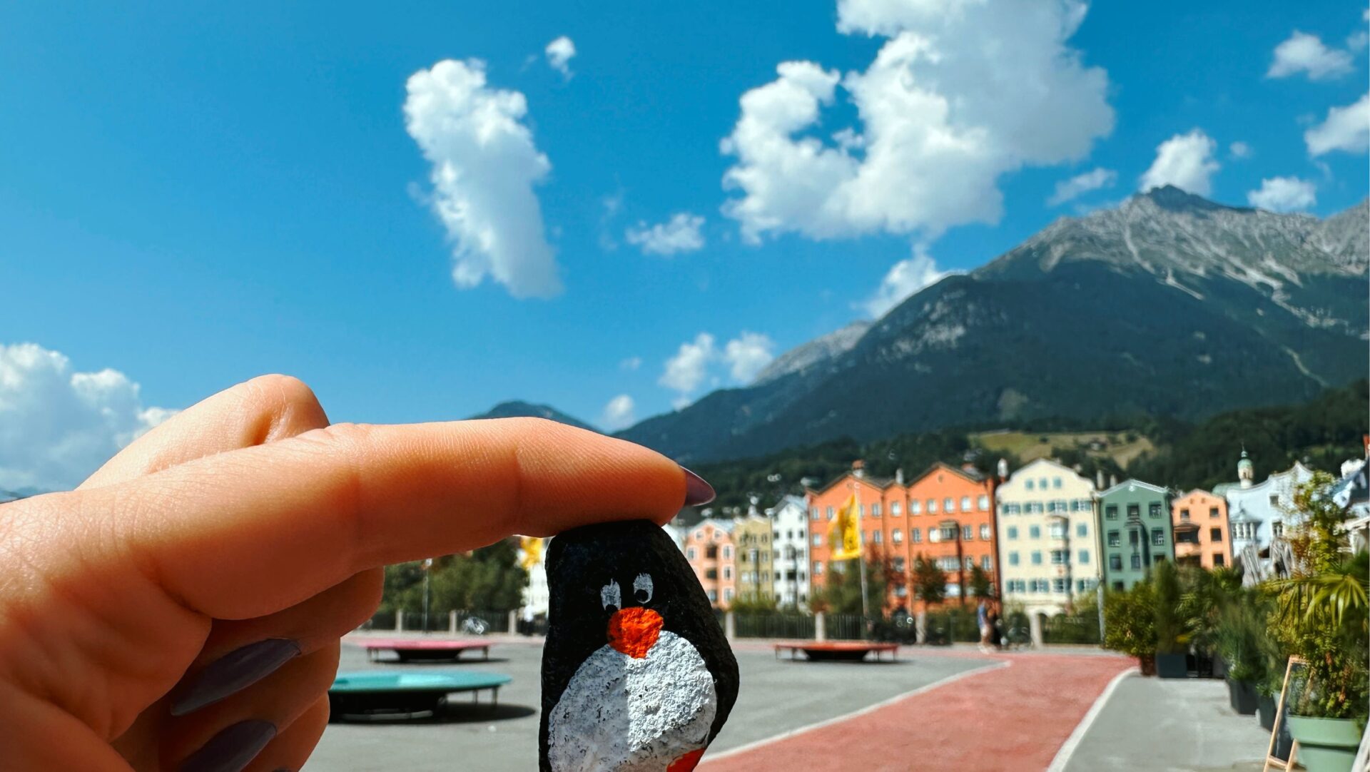 Hand-painted penguin stone #179 hidden at Hofgarten, Innsbruck, Austria (photo 1 of 5)