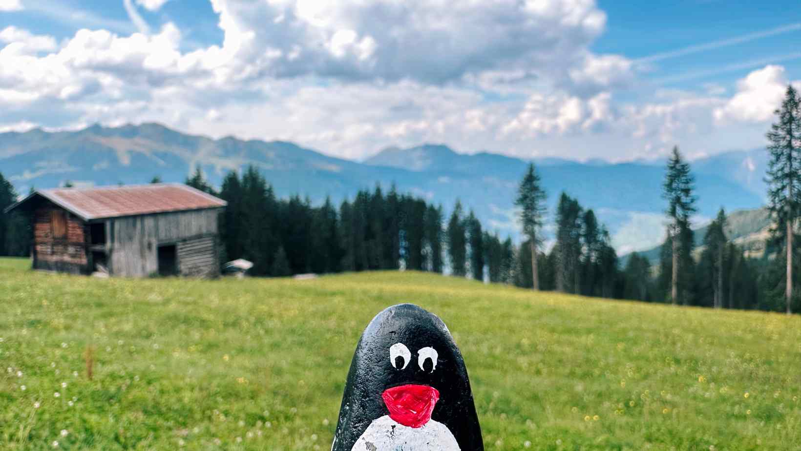 Hand-painted penguin stone #180 hidden at Fichtenschloss Rosenalm, Zell am Ziller, Austria (photo 1 of 5)