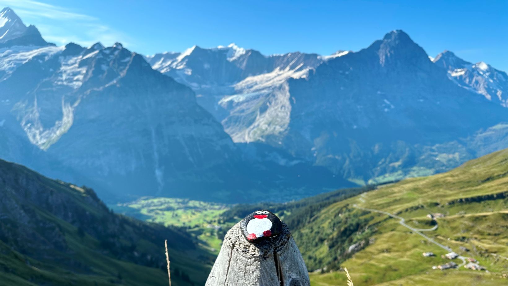 Hand-painted penguin stone #184 hidden at Bachalpsee, First, Switzerland (photo 1 of 5)