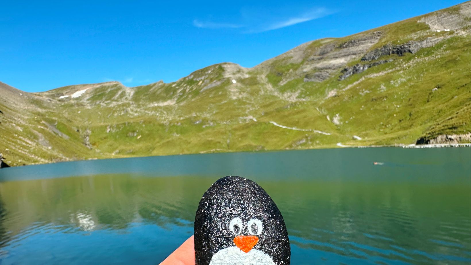 Hand-painted penguin stone #192 hidden at Hiking towards First, Swiss Alps, Switzerland (photo 1 of 5)