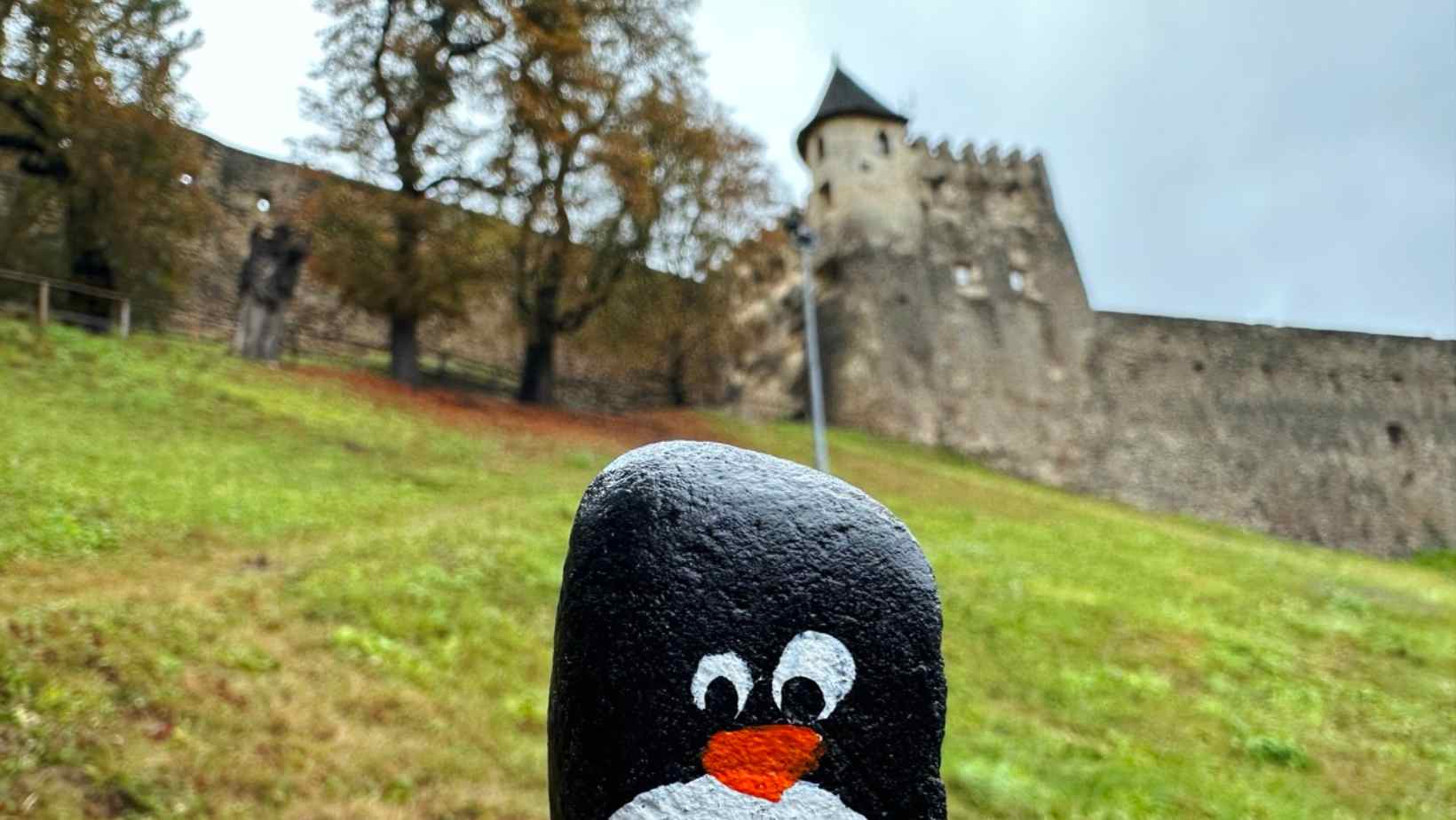 Hand-painted penguin stone #204 hidden at Castle Garden, Stara Lubovna, Slovakia (photo 1 of 5)