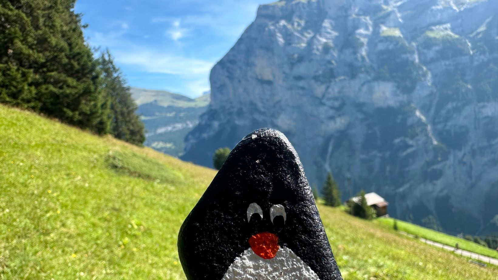 Hand-painted penguin stone #205 hidden at Scenic View, Gimmelwald, Switzerland (photo 1 of 5)