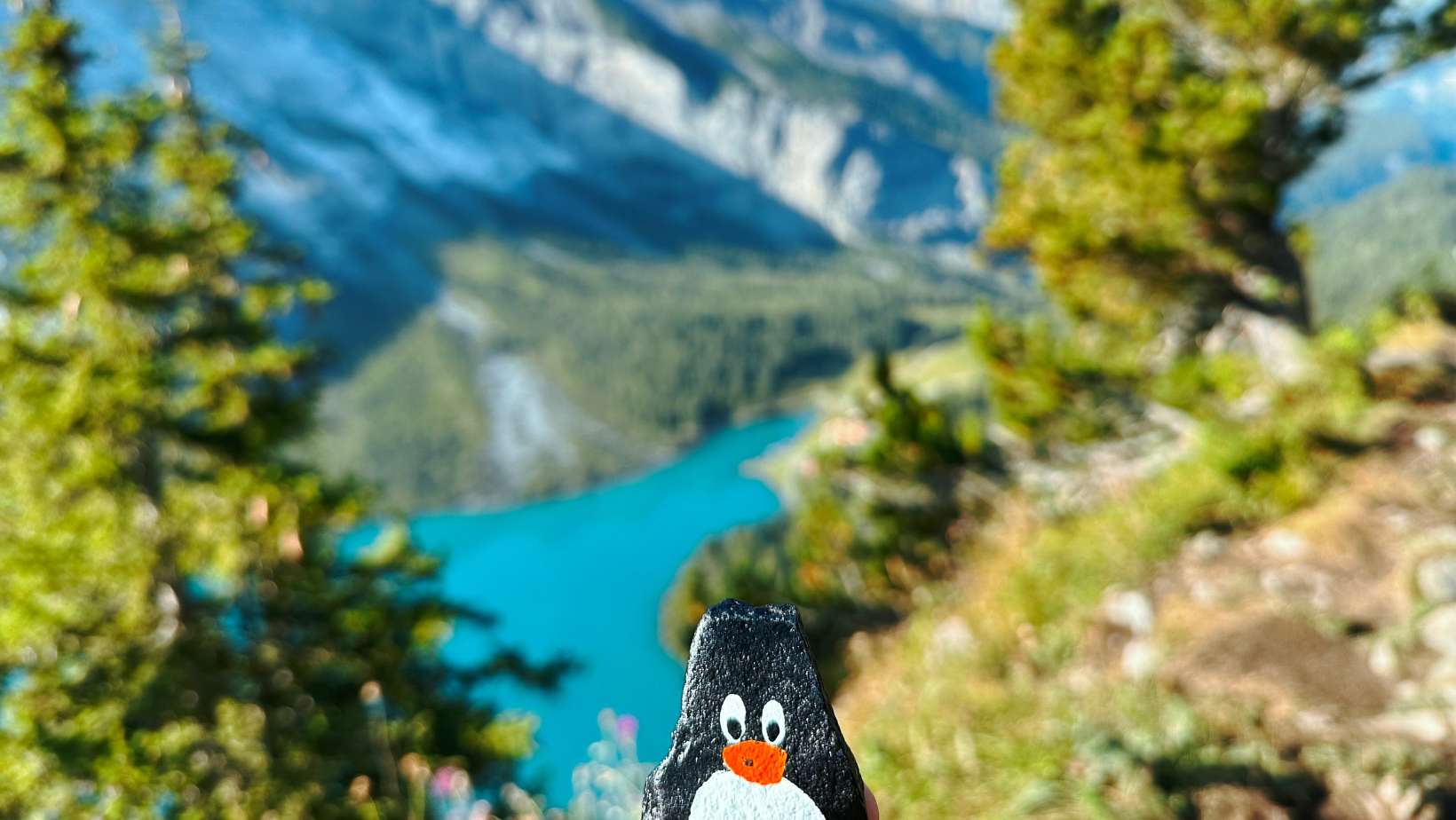 Hand-painted penguin stone #207 hidden at Heuberg, Oeschinen Lake, Switzerland (photo 1 of 5)