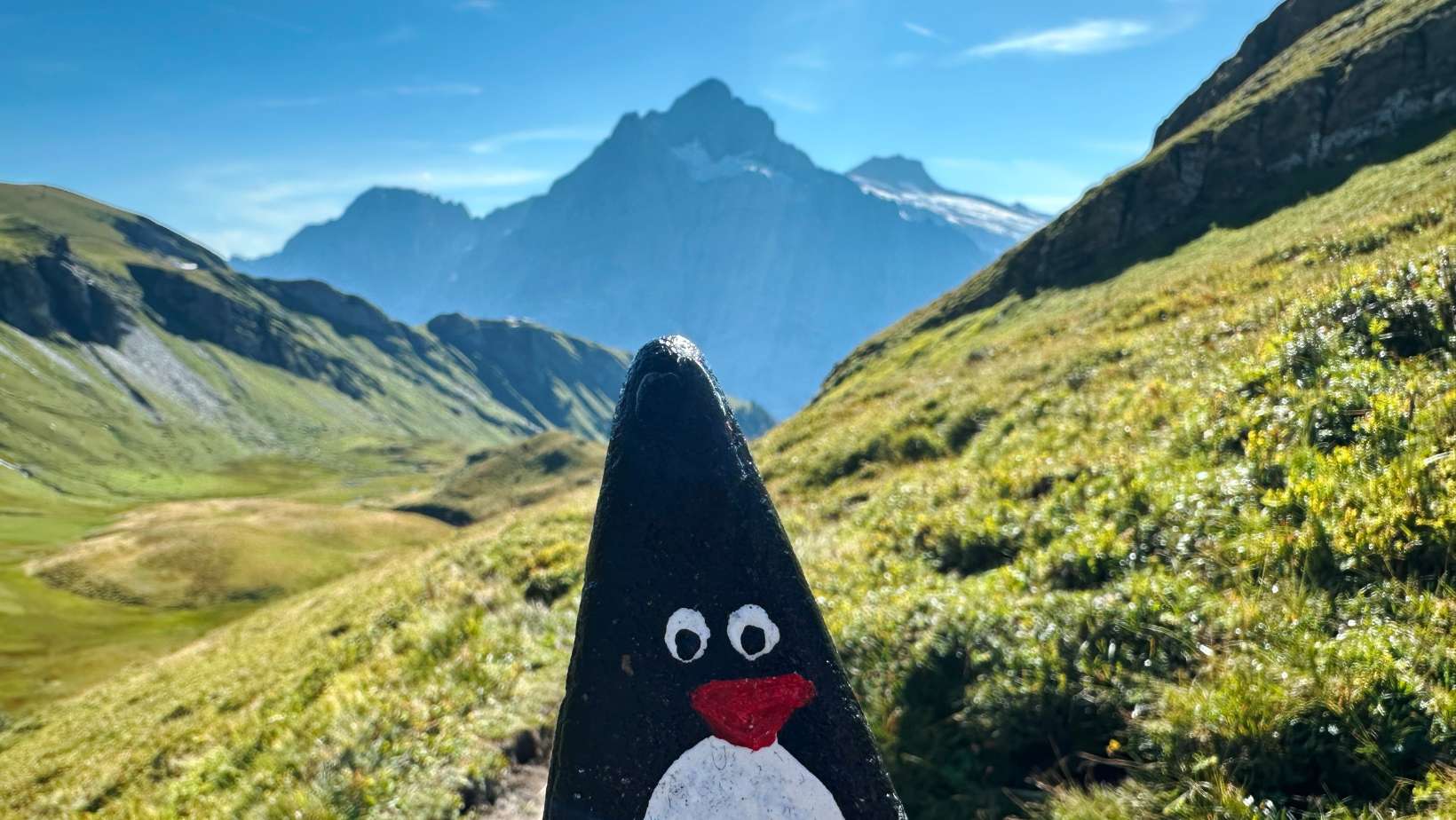 Hand-painted penguin stone #209 hidden at Waterfall, First, Switzerland (photo 1 of 5)