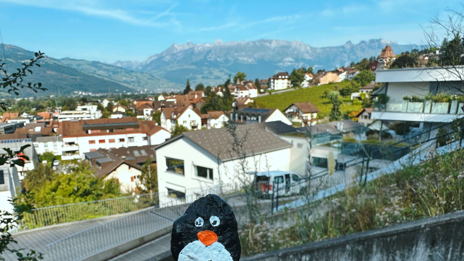 Hand-painted penguin stone #276 hidden at Way to the Castle, Vaduz, Liechtenstein (photo 1 of 3)
