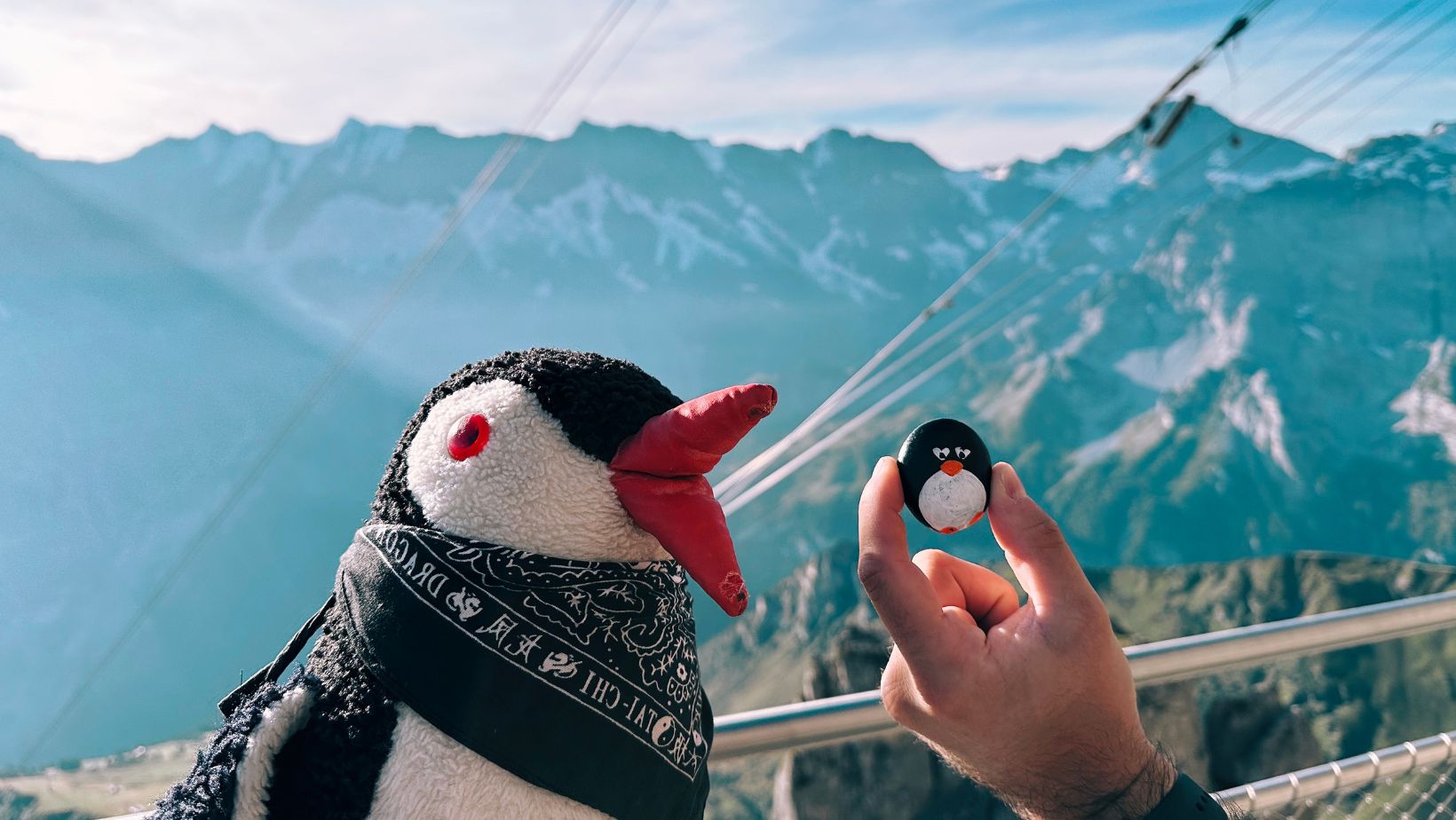 Hand-painted penguin stone #65 hidden at Thrill Walk, Birg, Switzerland (photo 1 of 5)