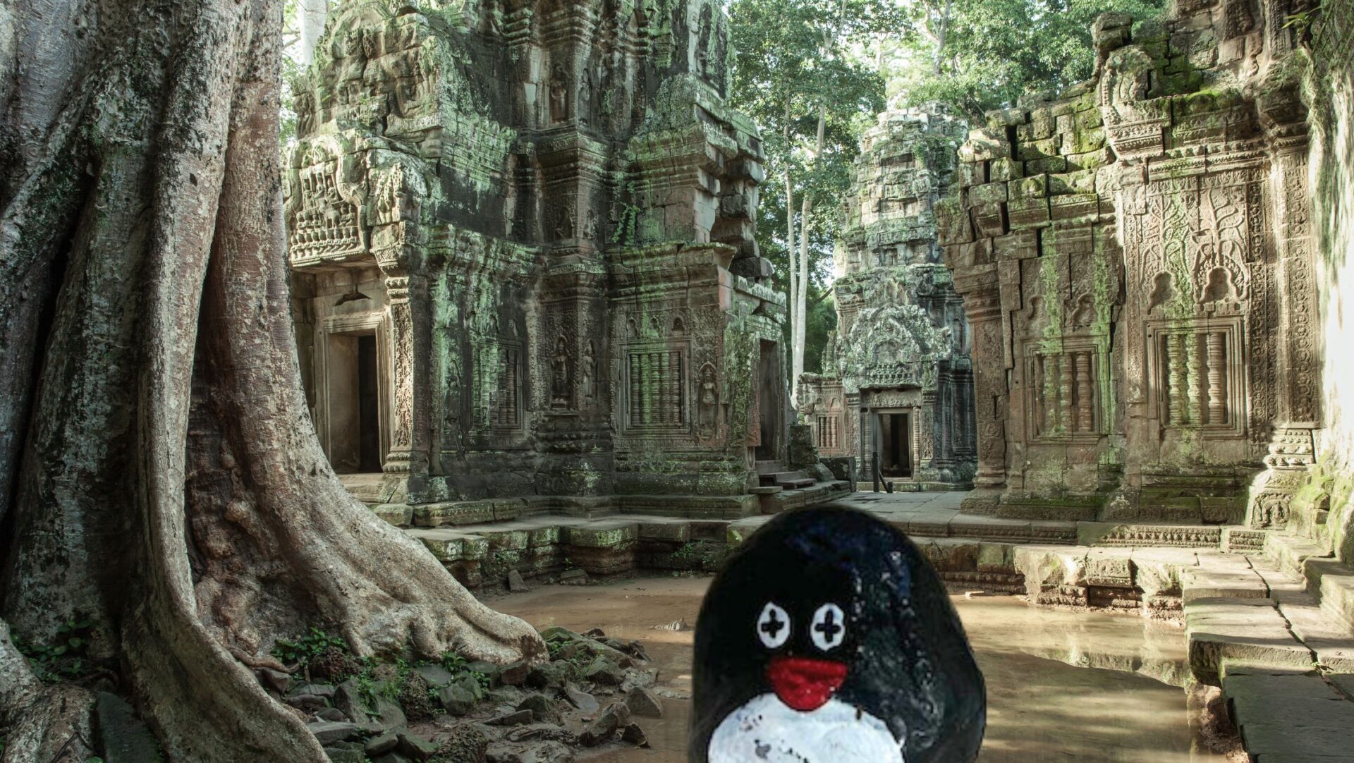 Hand-painted penguin stone #143 hidden at Ta Prohm Temple, Siem Reap, Cambodia (photo 1 of 5)