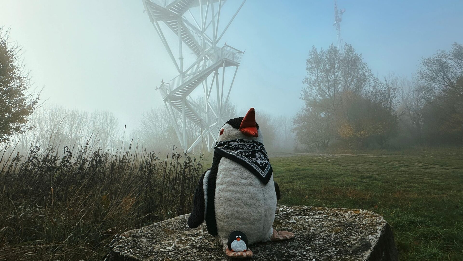 Hand-painted penguin stone #211 hidden at Lookout Tower, Devinska Kobyla, Slovakia (photo 1 of 5)