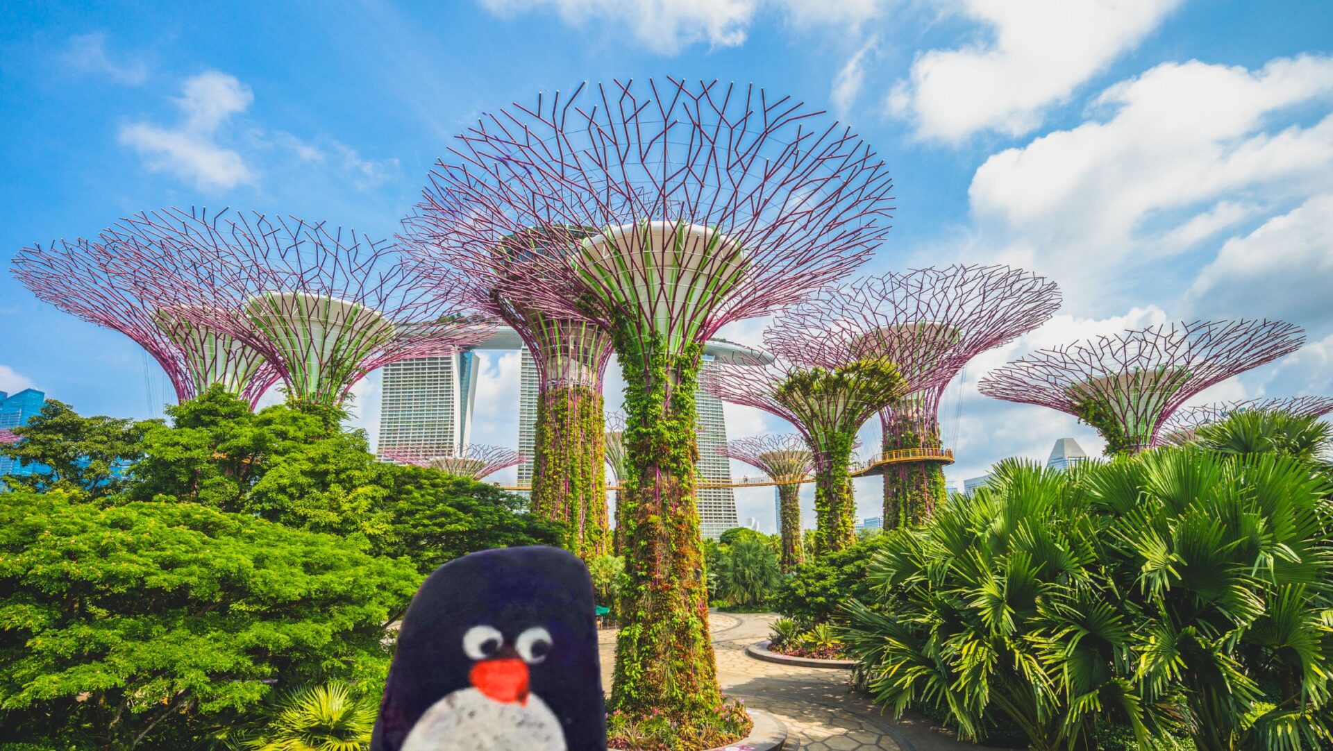 Hand-painted penguin stone #234 hidden at Supertree Grove, Gardens by the Bay, Singapore (photo 1 of 5)
