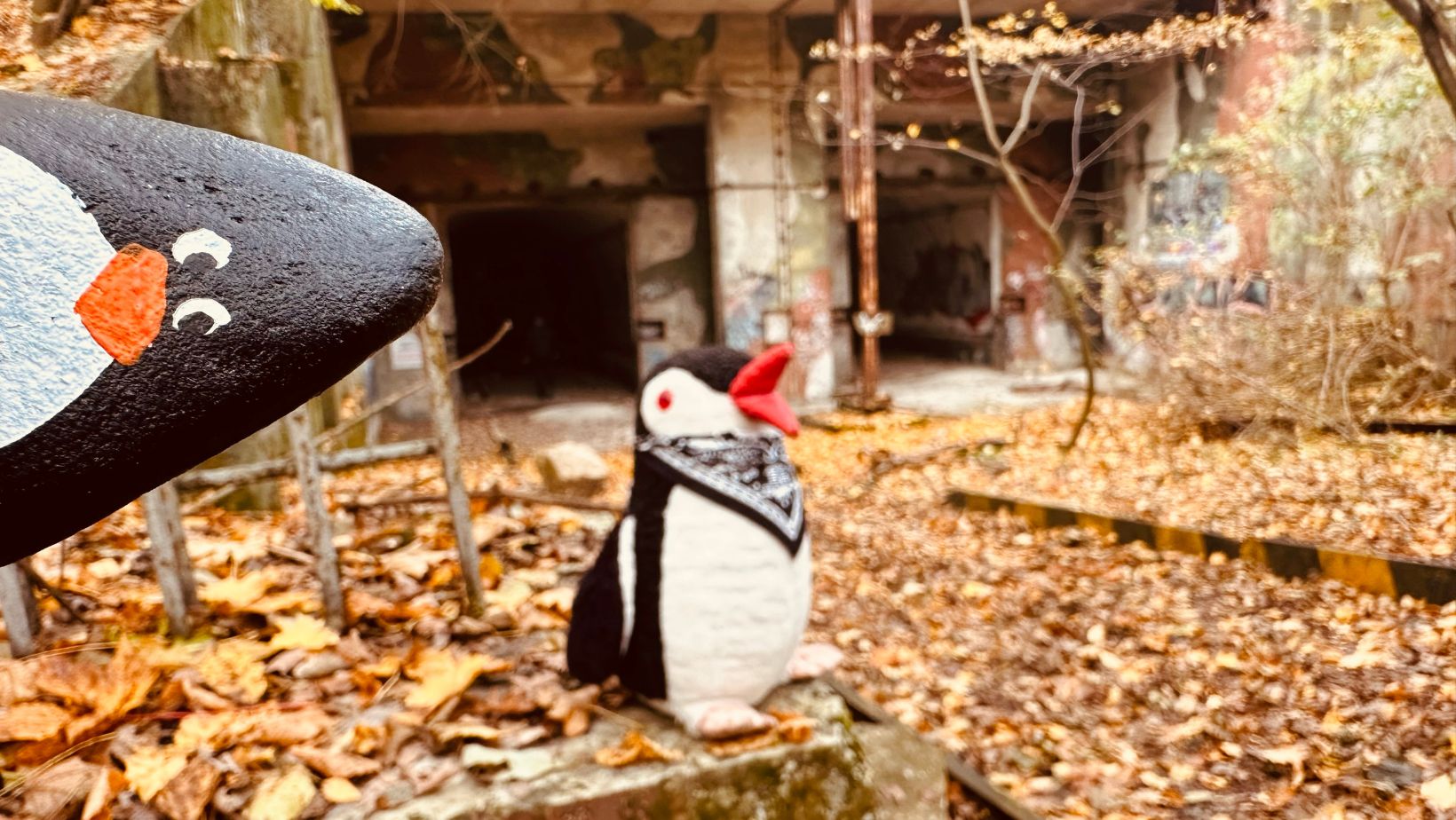 Hand-painted penguin stone #274 hidden at Former Missile Base, Devinska Kobyla, Slovakia (photo 1 of 4)