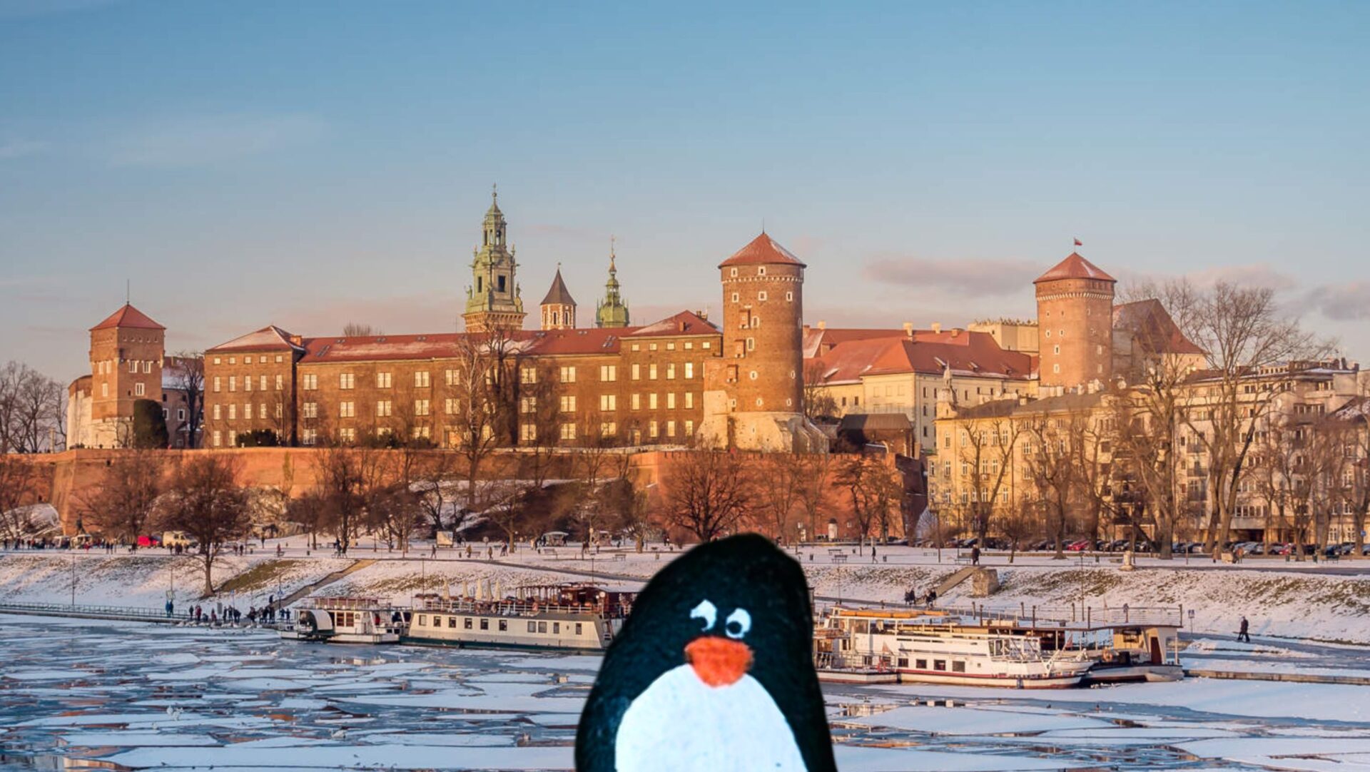 Hand-painted penguin stone #154 hidden at Wawel Royal Castle, Krakow, Poland (photo 1 of 5)