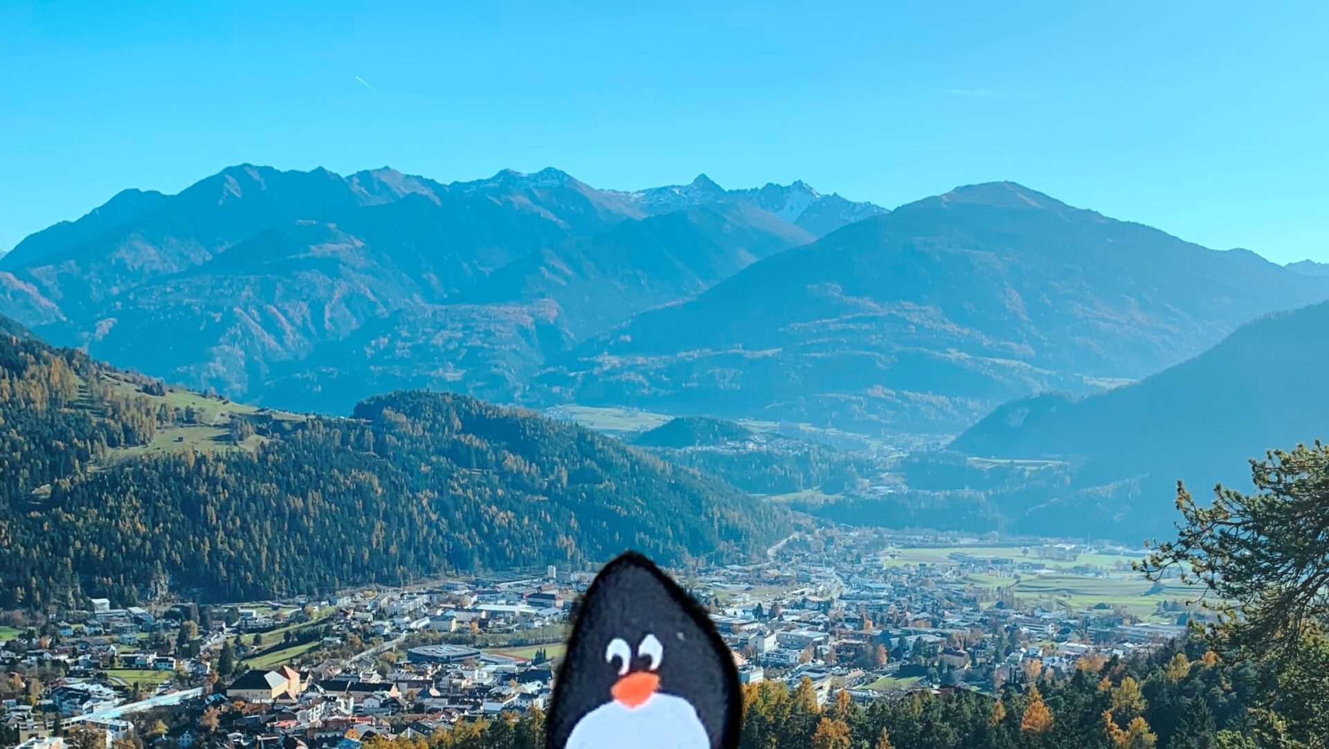 Hand-painted penguin stone #216 hidden at Wetterkreuz, Tyrol, Austria (photo 1 of 5)