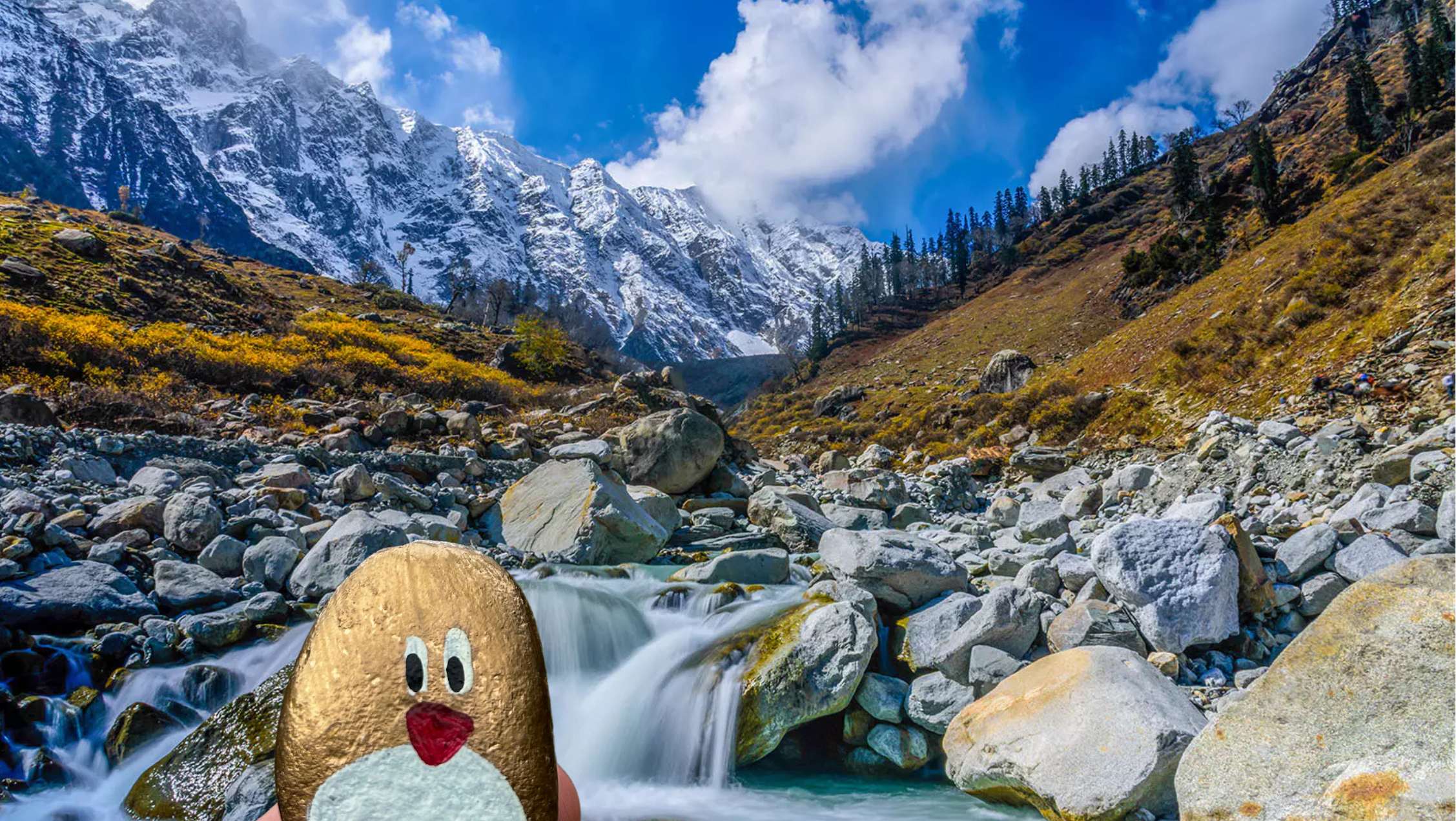 Hand-painted penguin stone #502 hidden at Beas Kund Trek, Manali, India (photo 1 of 5)