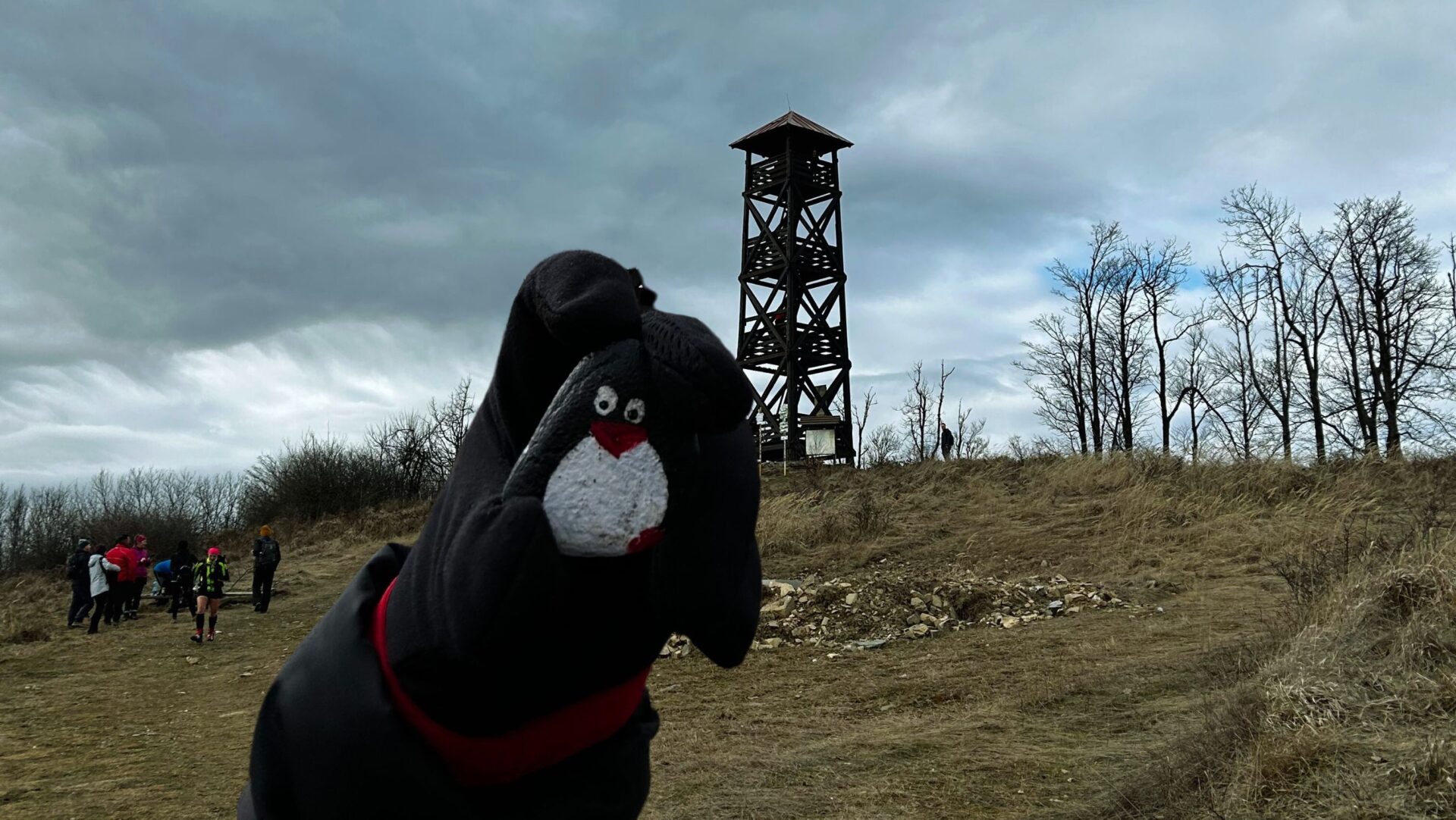 Hand-painted penguin stone #130 hidden at Lookout Tower, Panska Javorina, Slovakia (photo 1 of 5)