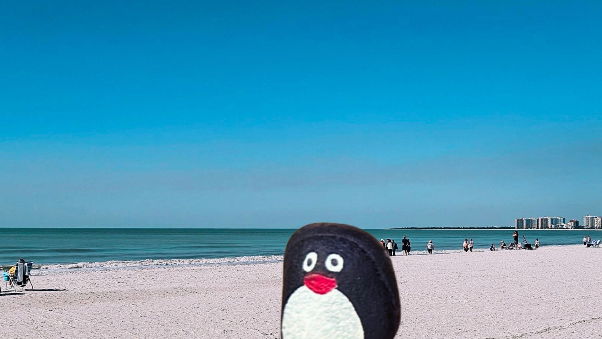 Hand-painted penguin stone #224 hidden at Marco Island, Florida, United States (photo 1 of 5)