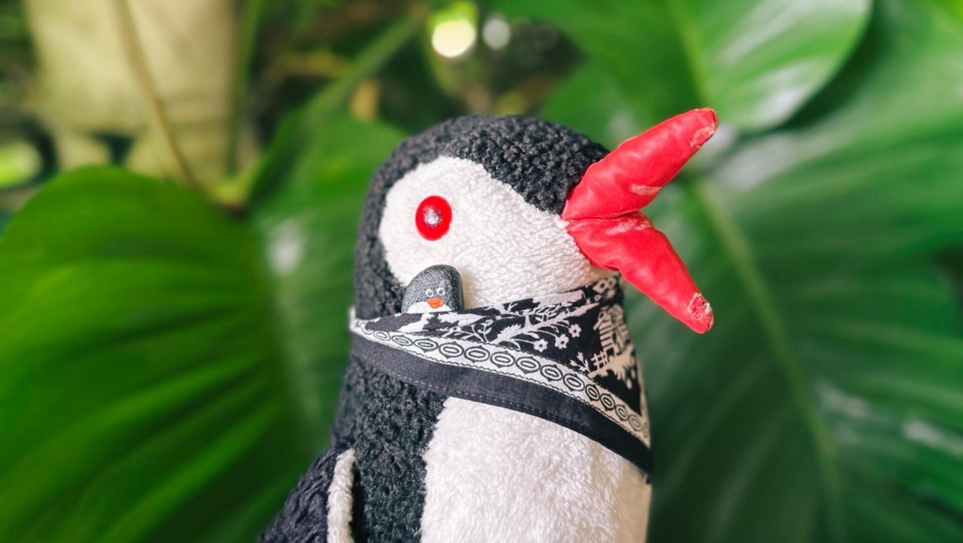 Hand-painted penguin stone #256 hidden at Range Christiano, Anamuya, Dominican Republic (photo 1 of 5)