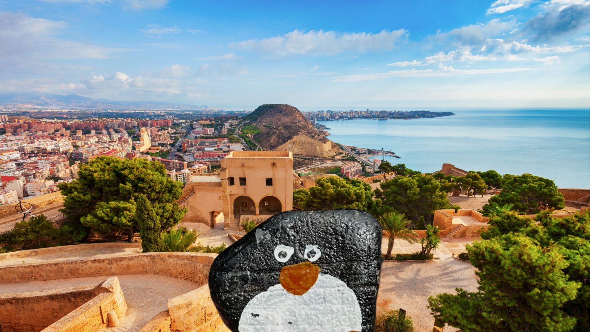 Hand-painted penguin stone #257 hidden at Castillo de Santa Barbara, Alicante, Spain (photo 1 of 5)