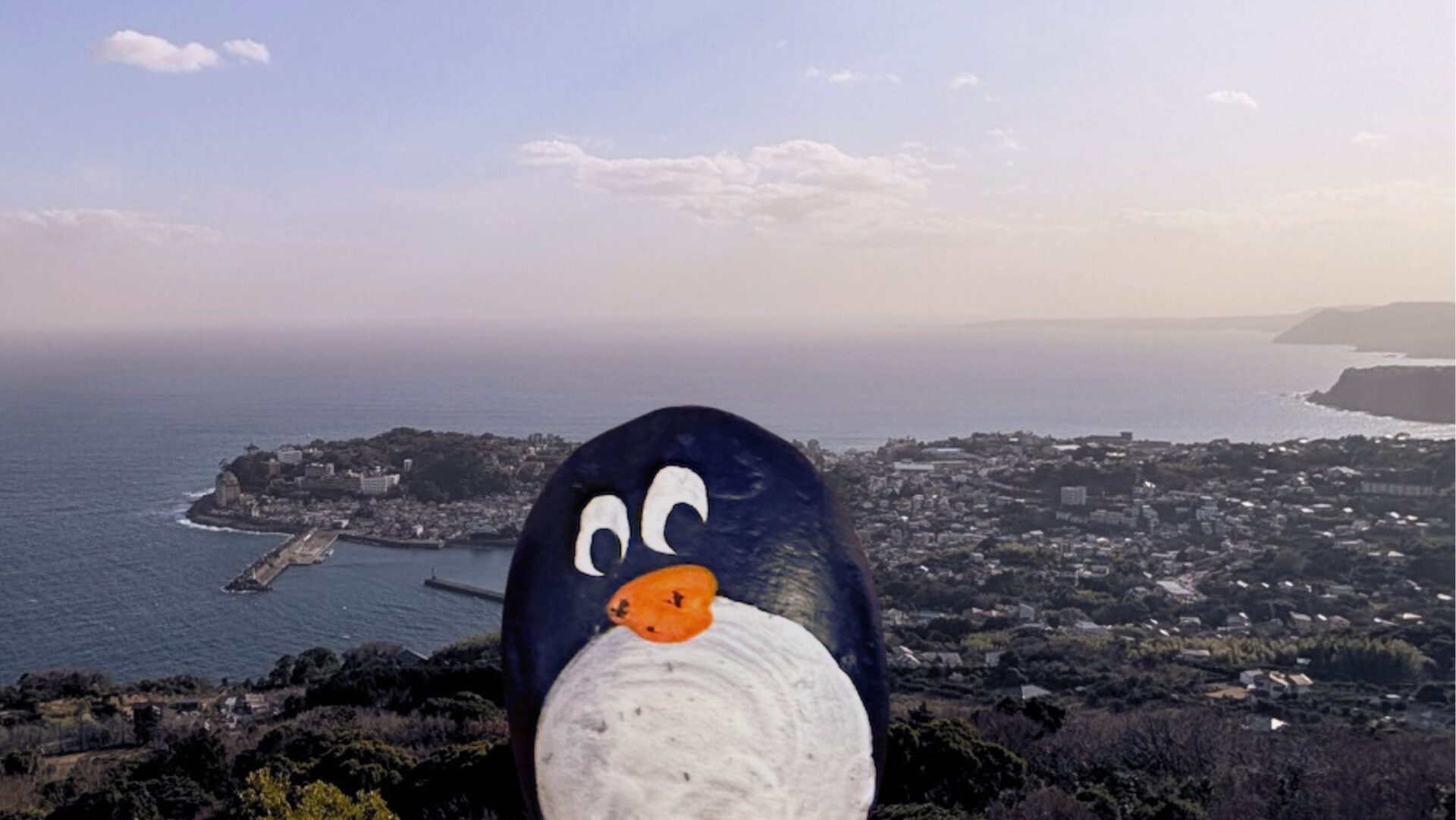 Hand-painted penguin stone #334 hidden at Inatori Forest Park, Inatori, Japan (photo 1 of 4)