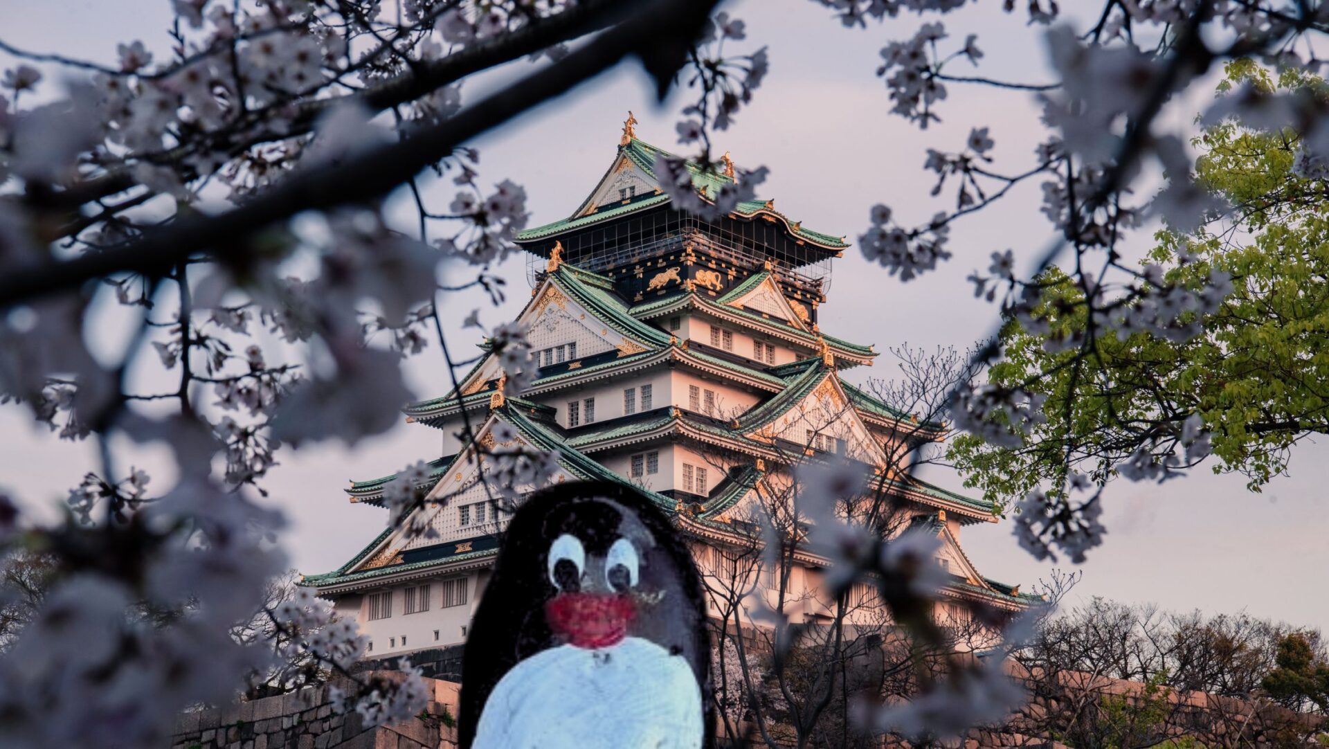 Ručne maľovaný tučniakový kameň č. 398 ukrytý na mieste Odawara Castle, Odawara, Japonsko (fotka 1 z 5)