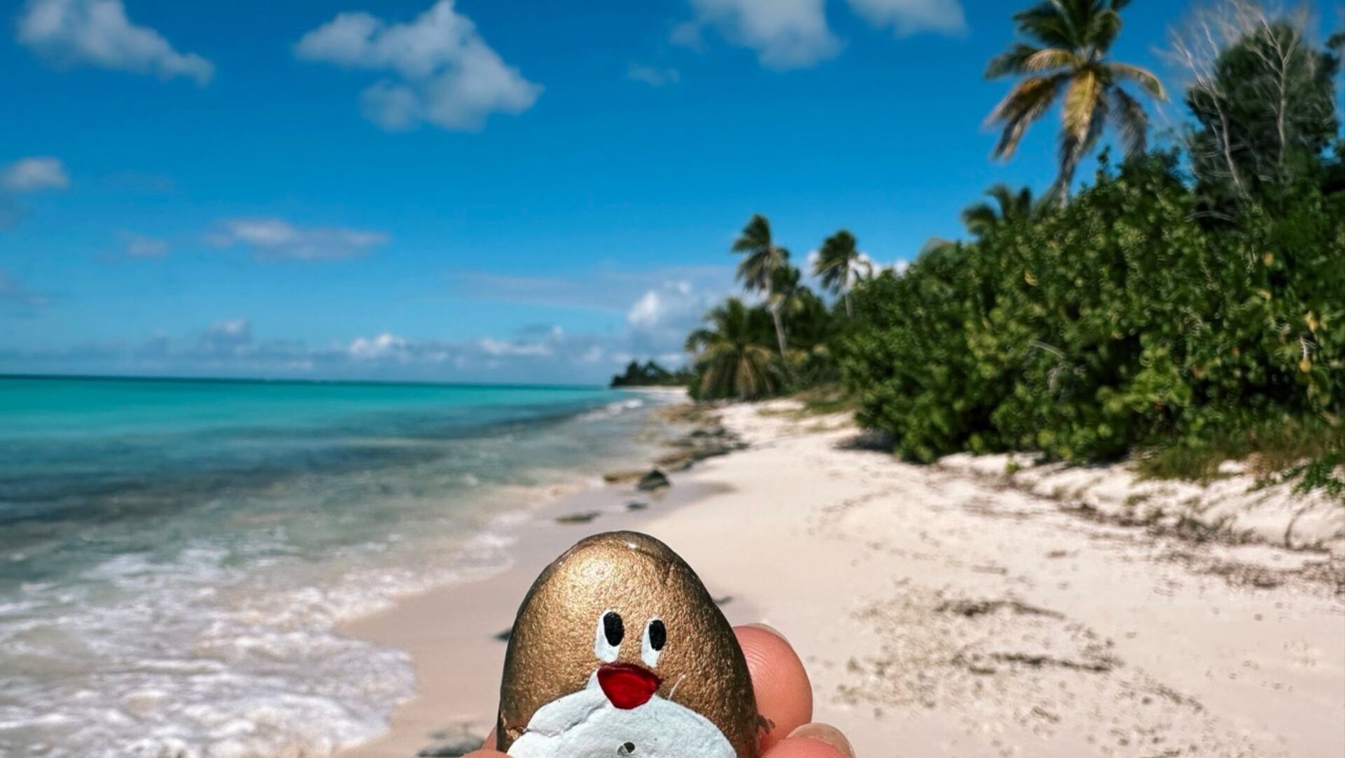 Hand-painted penguin stone #503 hidden at Playa del Gato, Saona Island, Dominican Republic (photo 1 of 5)