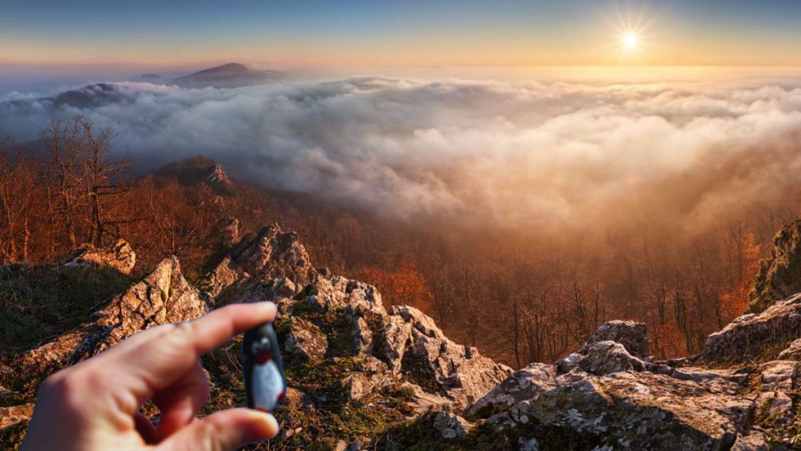 Hand-painted penguin stone #155 hidden at Vysoka, Little Carpathians, Slovakia (photo 1 of 5)