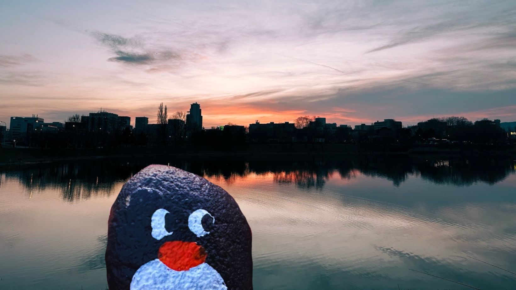 Hand-painted penguin stone #225 hidden at Strkovec Lake, Bratislava, Slovakia (photo 1 of 5)