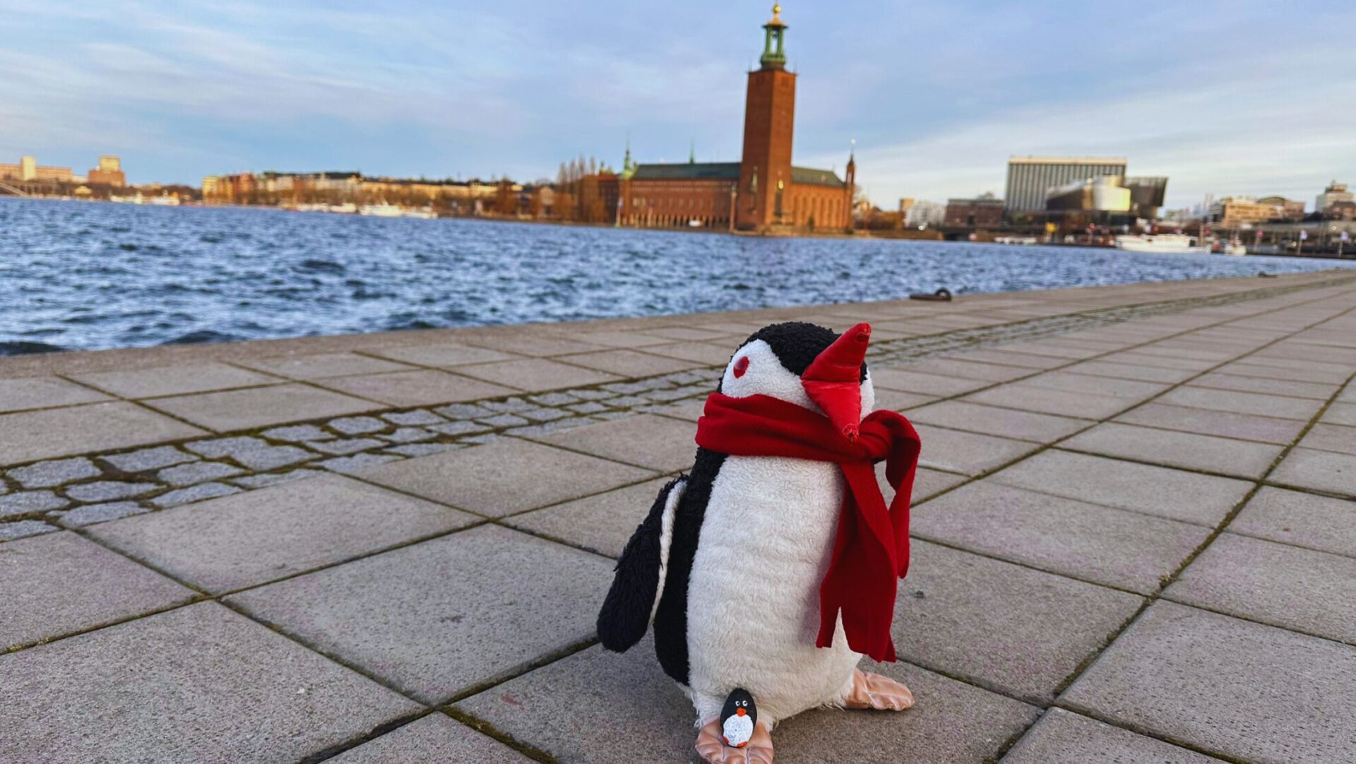 Hand-painted penguin stone #245 hidden at Viewpoint, Stockholm, Sweden (photo 1 of 5)