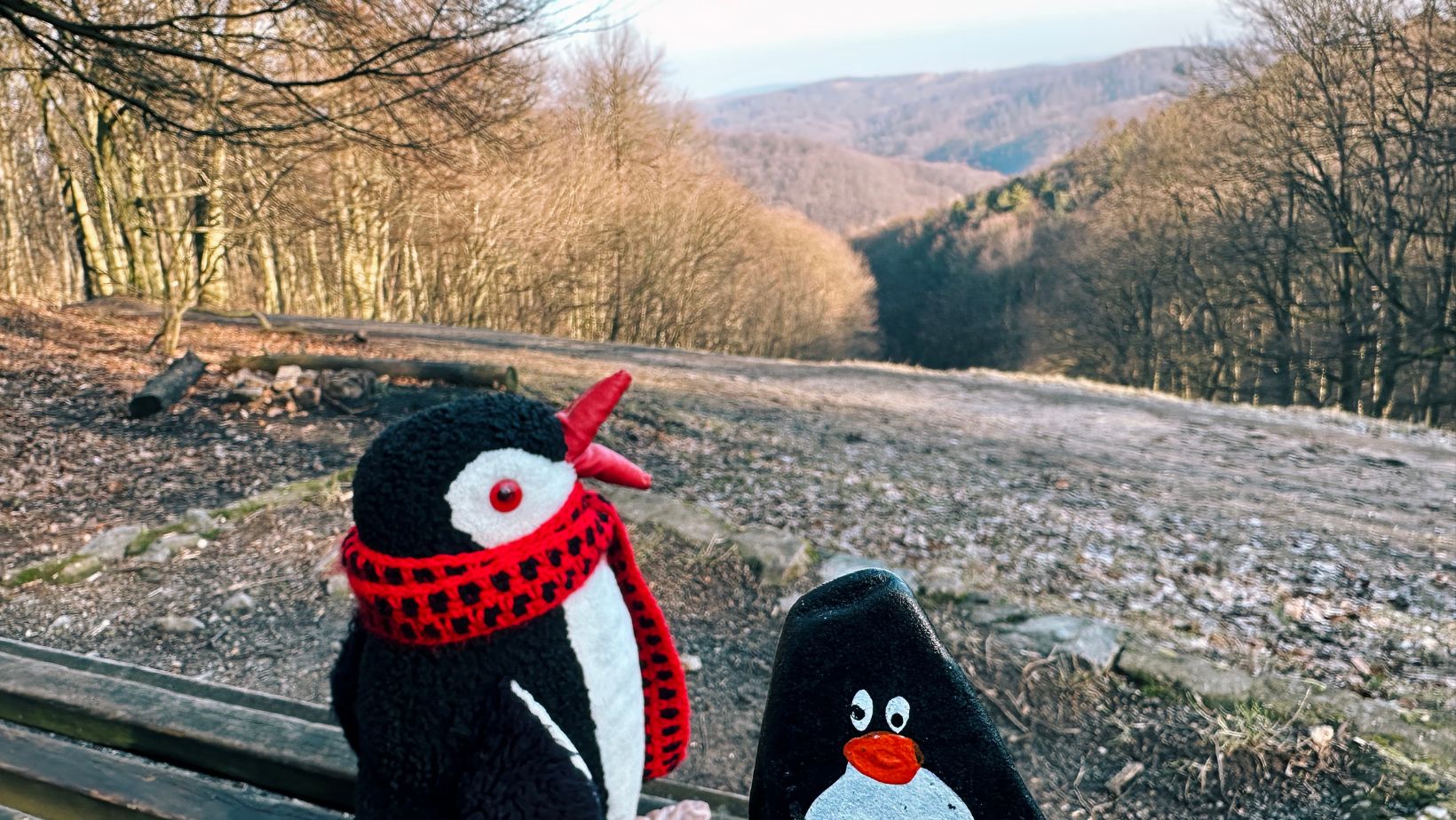 Hand-painted penguin stone #296 hidden at Tree in the forest, Little Carpathians, Slovakia (photo 1 of 5)