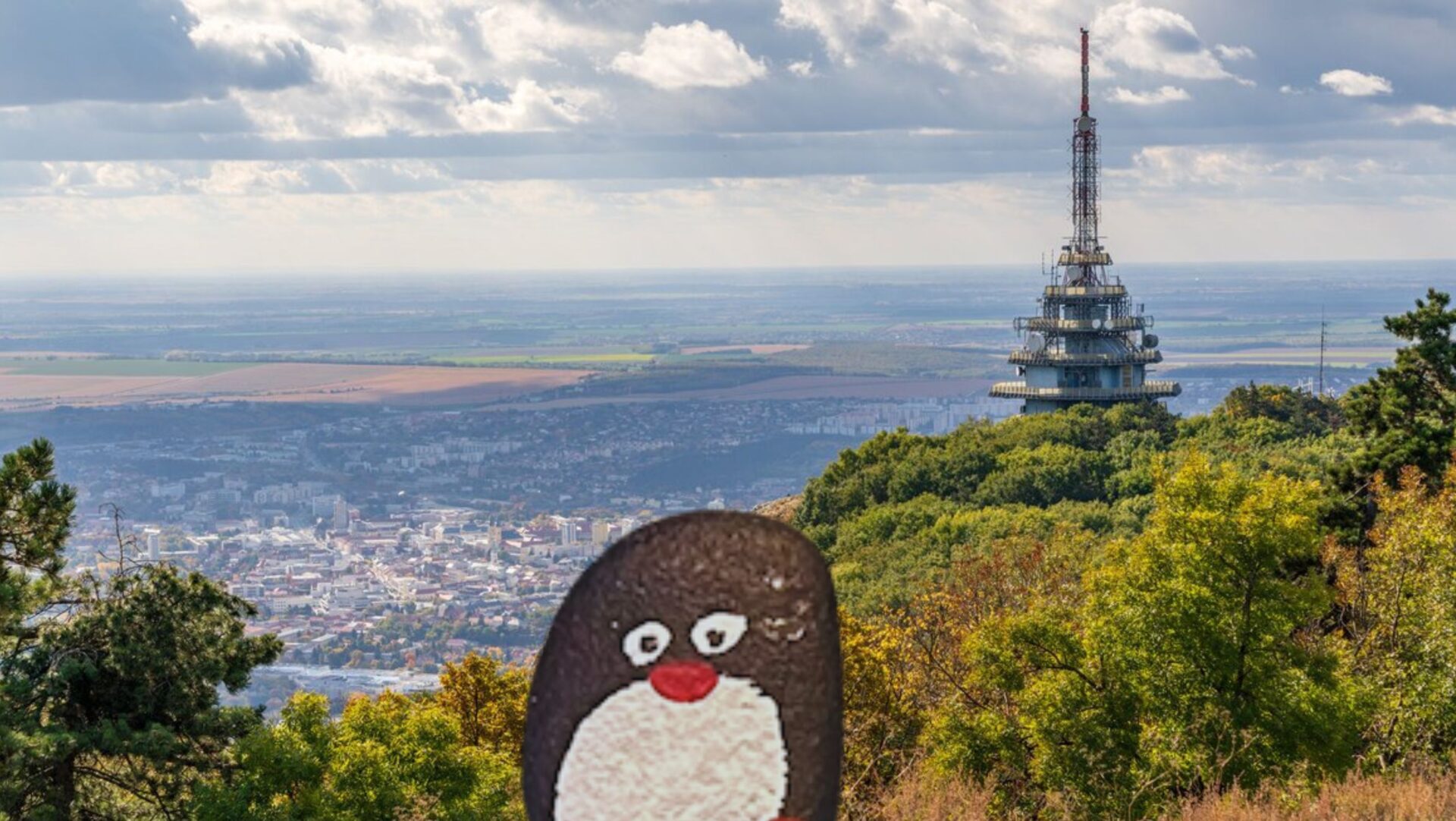 Hand-painted penguin stone #299 hidden at Zobor, Ponitrie, Slovakia (photo 1 of 5)
