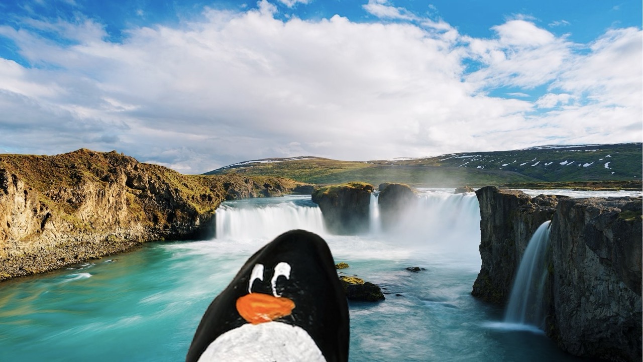 Hand-painted penguin stone #341 hidden at Godafoss Waterfall, Ring Road, Iceland (photo 1 of 5)