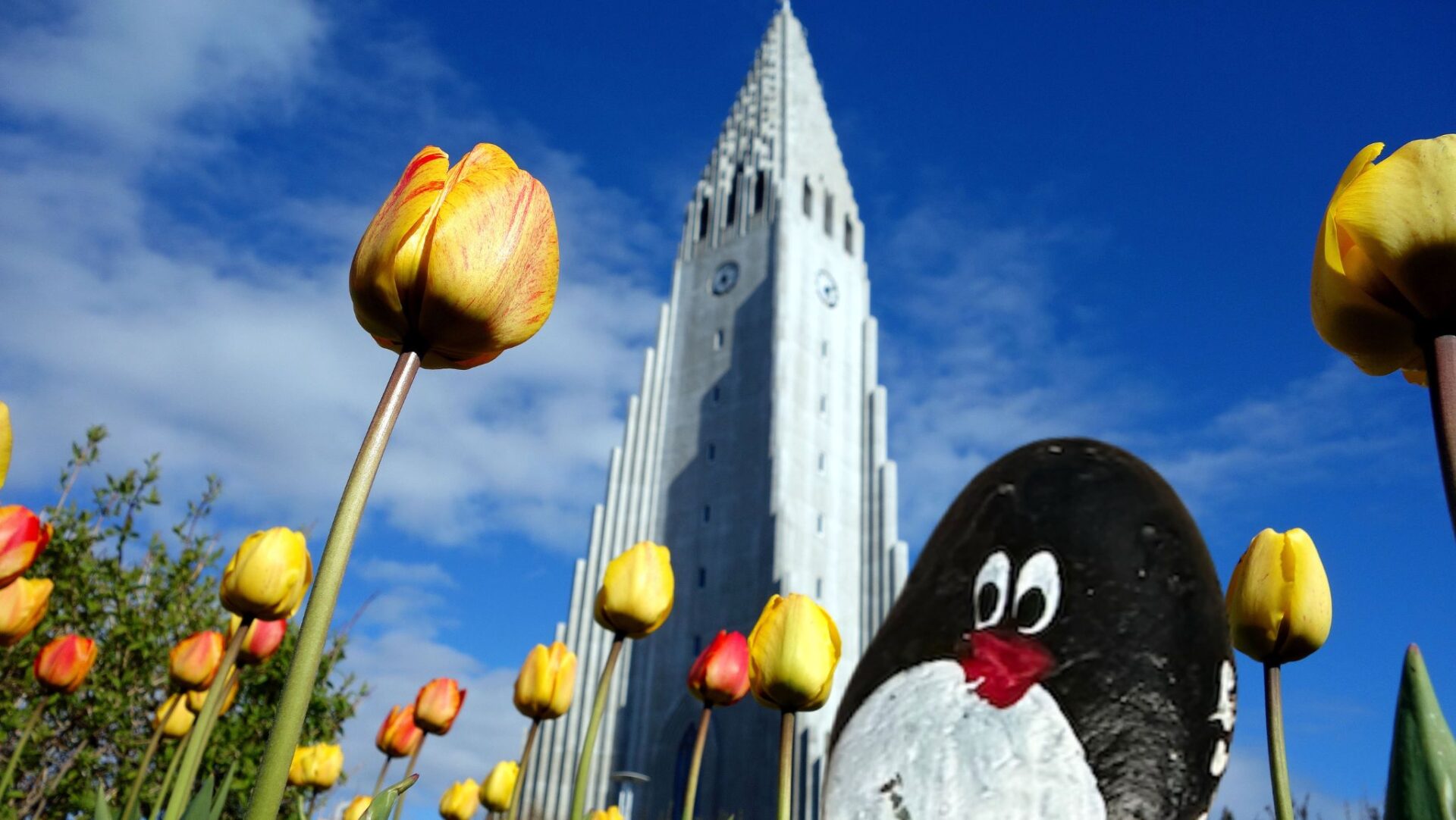 Ručne maľovaný tučniakový kameň č. 418 ukrytý na mieste Hallgrimskirkja, Reykjavik, Island (fotka 1 z 5)