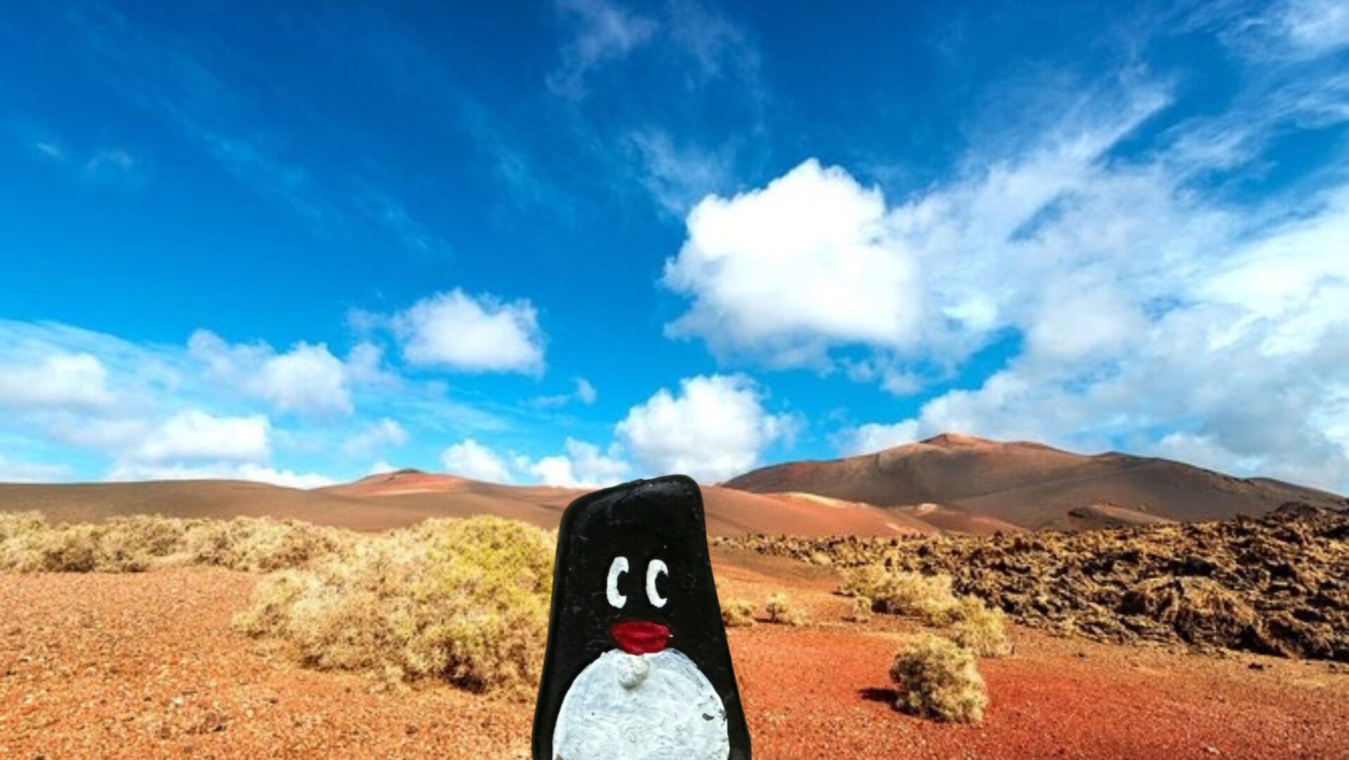 Hand-painted penguin stone #317 hidden at Enchadero de Los Camellos, Lanzarote, Spain (photo 1 of 5)