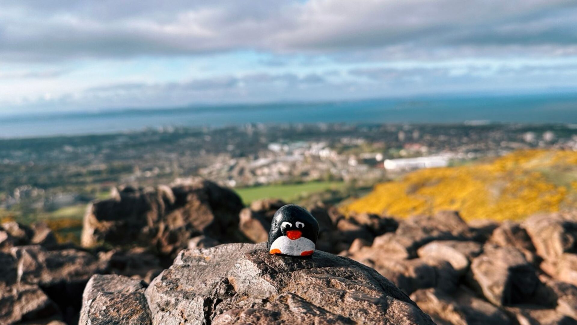 Hand-painted penguin stone #349 hidden at Arthur's Seat, Edinburgh, United Kingdom (photo 1 of 5)