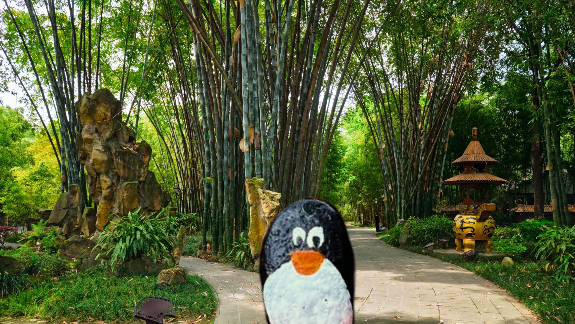 Hand-painted penguin stone #361 hidden at People's Park, Chengdu, China (photo 1 of 4)