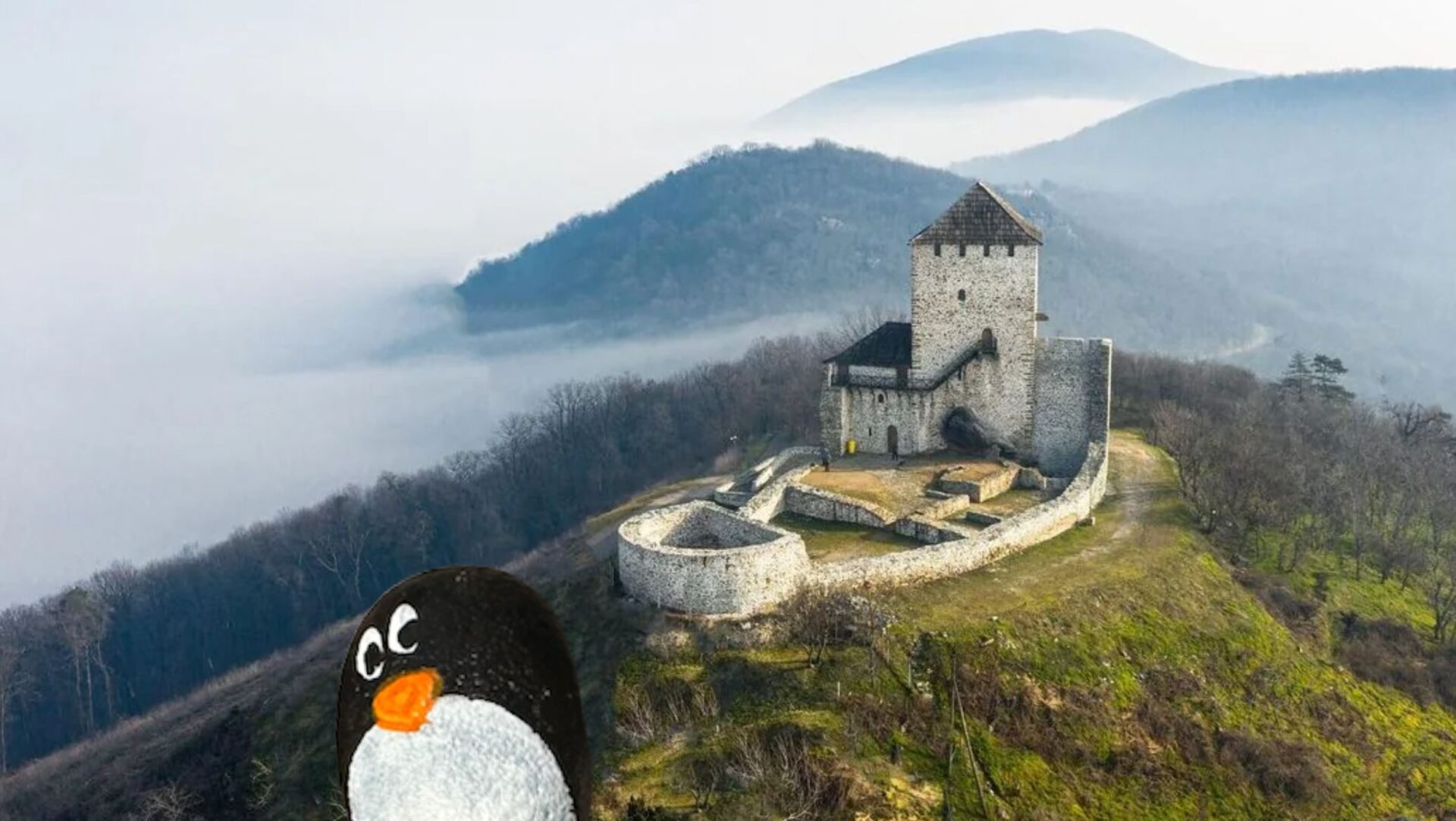 Hand-painted penguin stone #375 hidden at Vrsac Castle, Vojvodina, Serbia (photo 1 of 5)