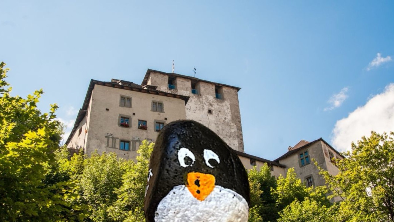 Hand-painted penguin stone #384 hidden at Schattenburg, Feldkirch, Austria (photo 1 of 4)