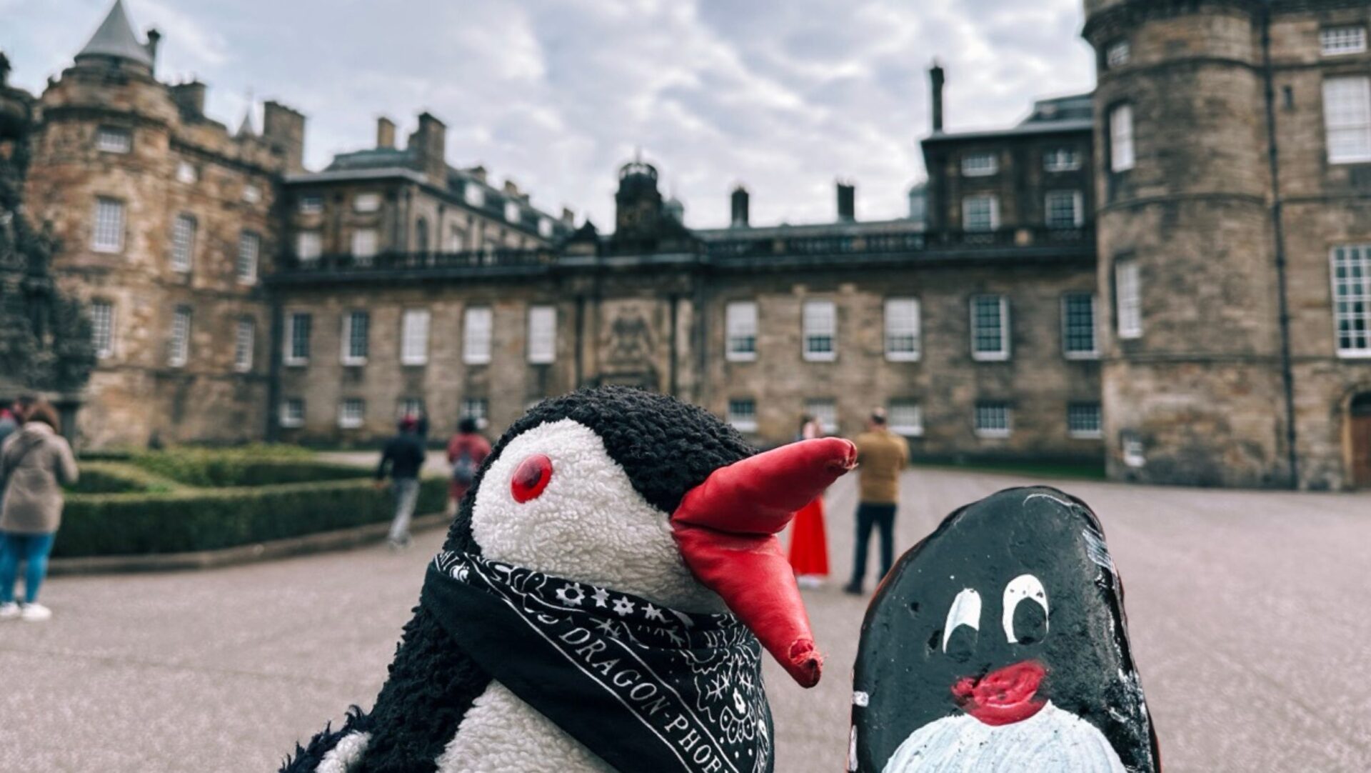 Hand-painted penguin stone #392 hidden at Holyroodhouse Palace Gardens, Edinburgh, United Kingdom (photo 1 of 5)
